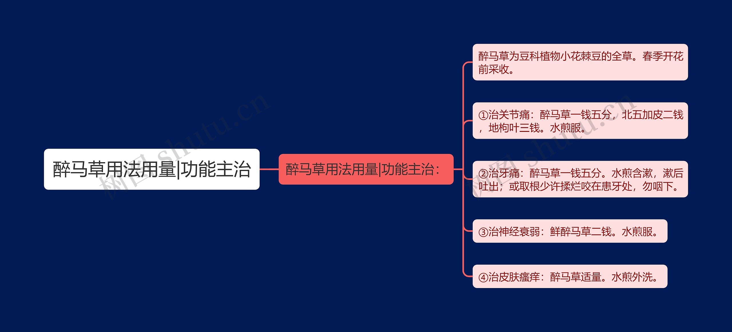 醉马草用法用量|功能主治思维导图