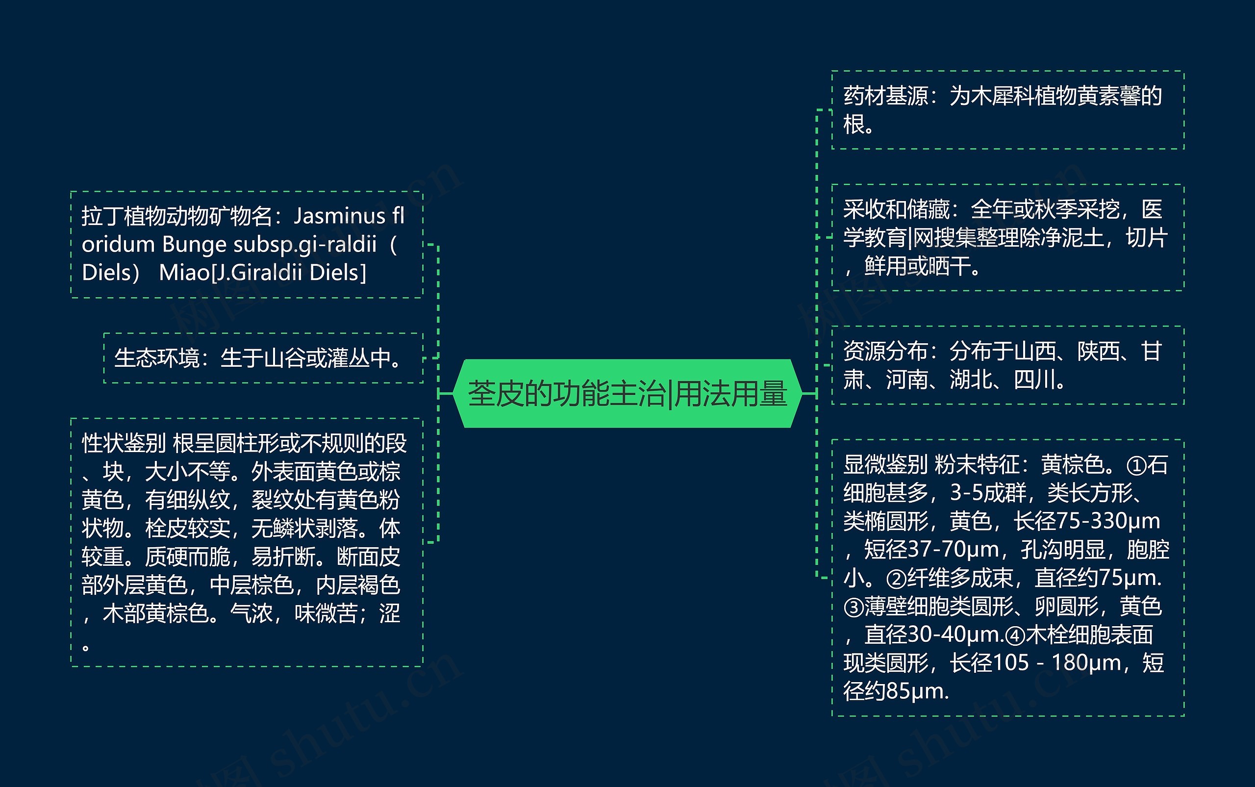 荃皮的功能主治|用法用量思维导图