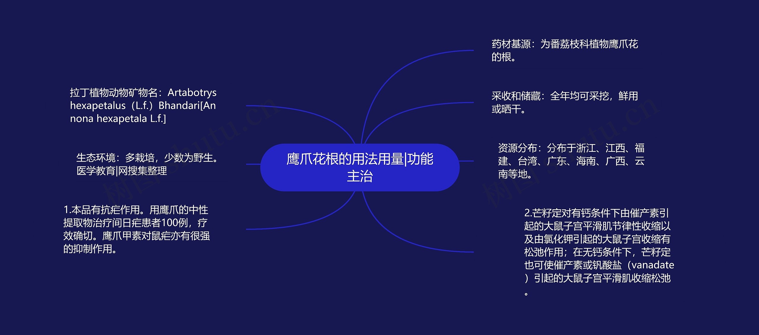 鹰爪花根的用法用量|功能主治