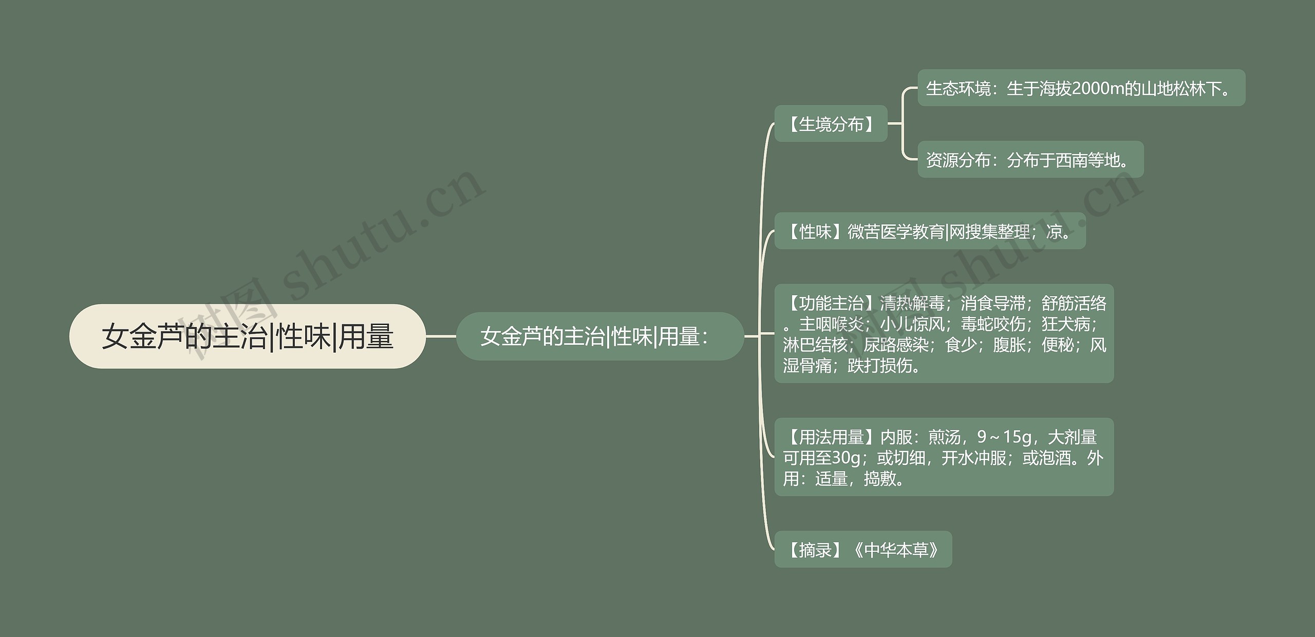 女金芦的主治|性味|用量思维导图