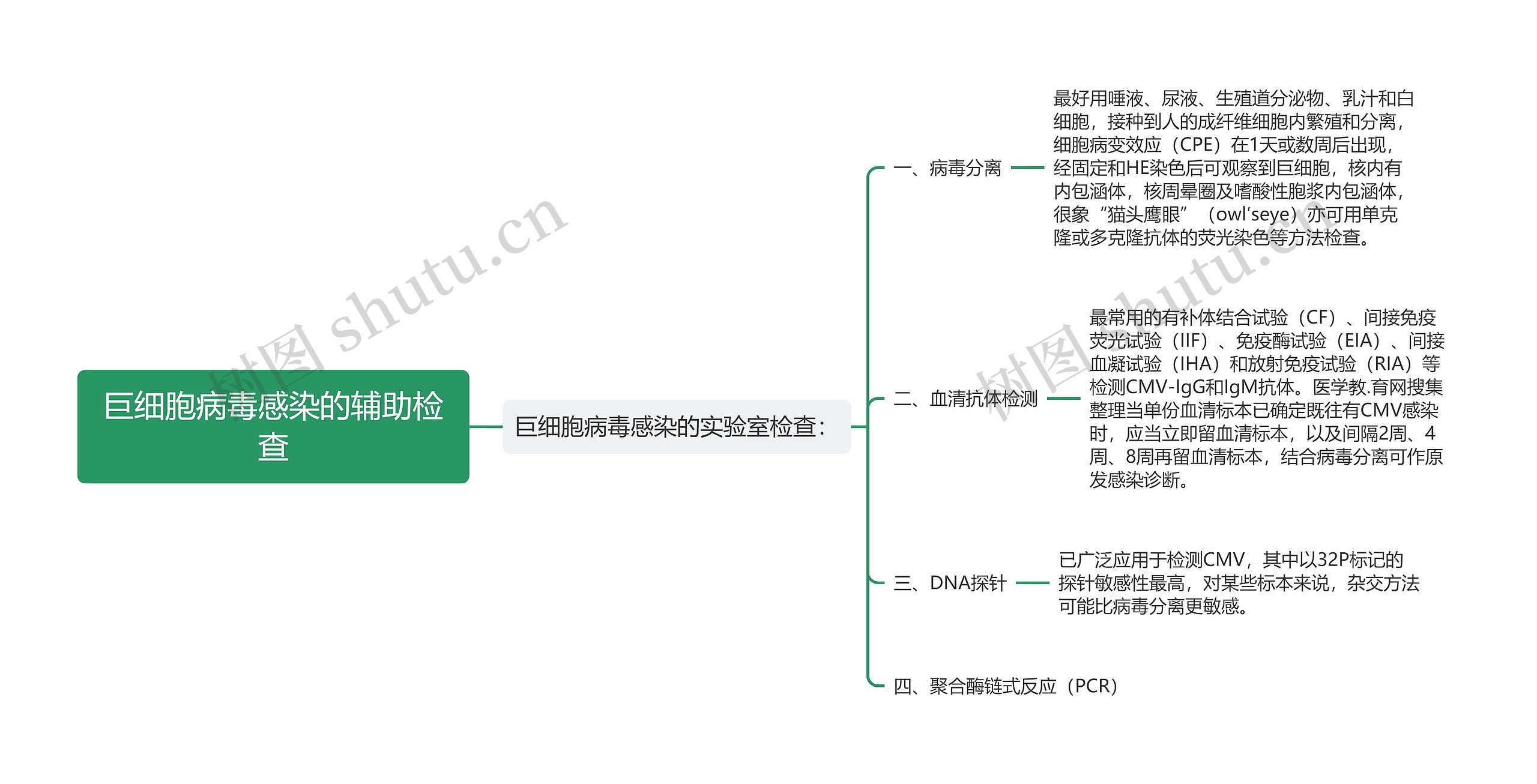 巨细胞病毒感染的辅助检查