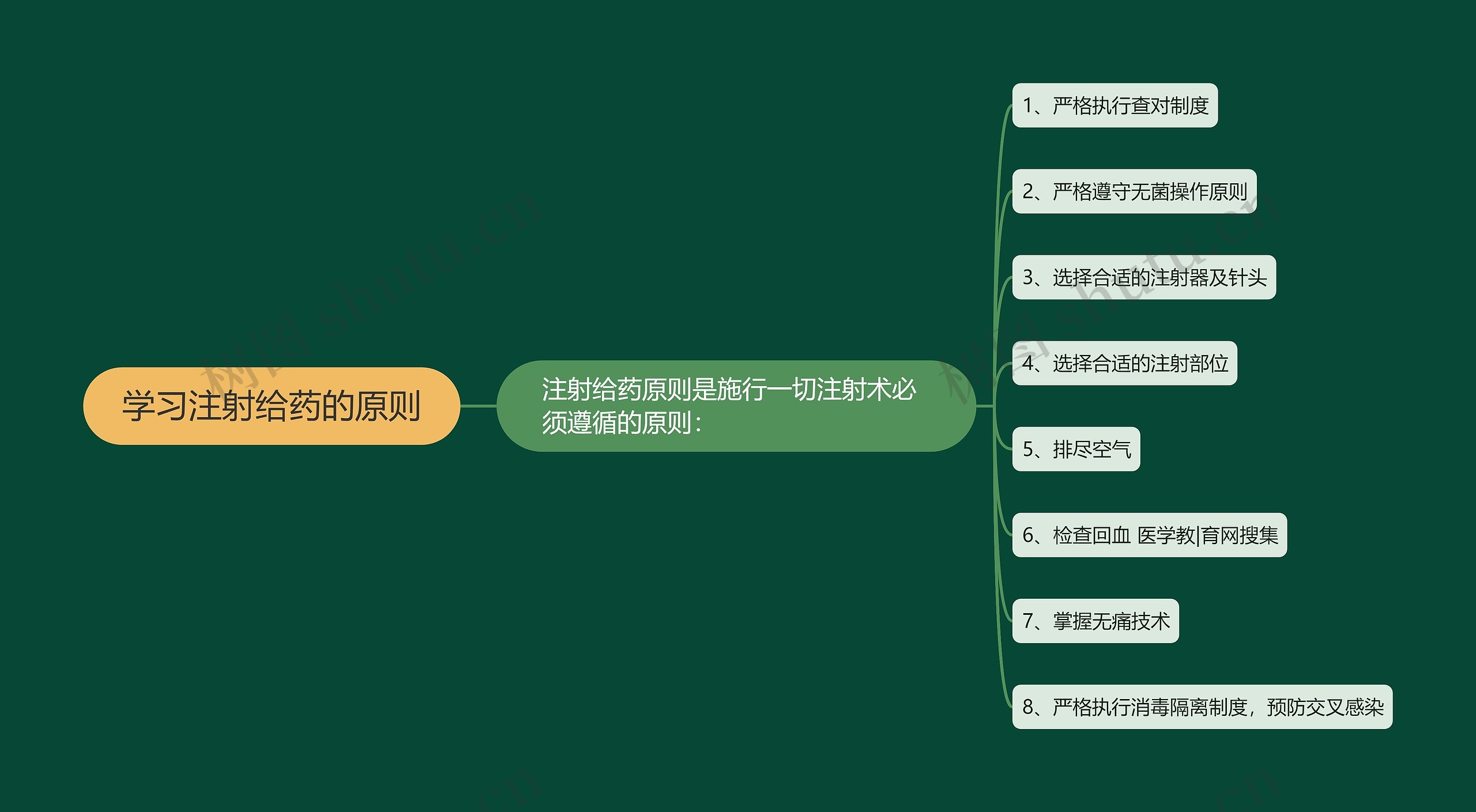 学习注射给药的原则思维导图