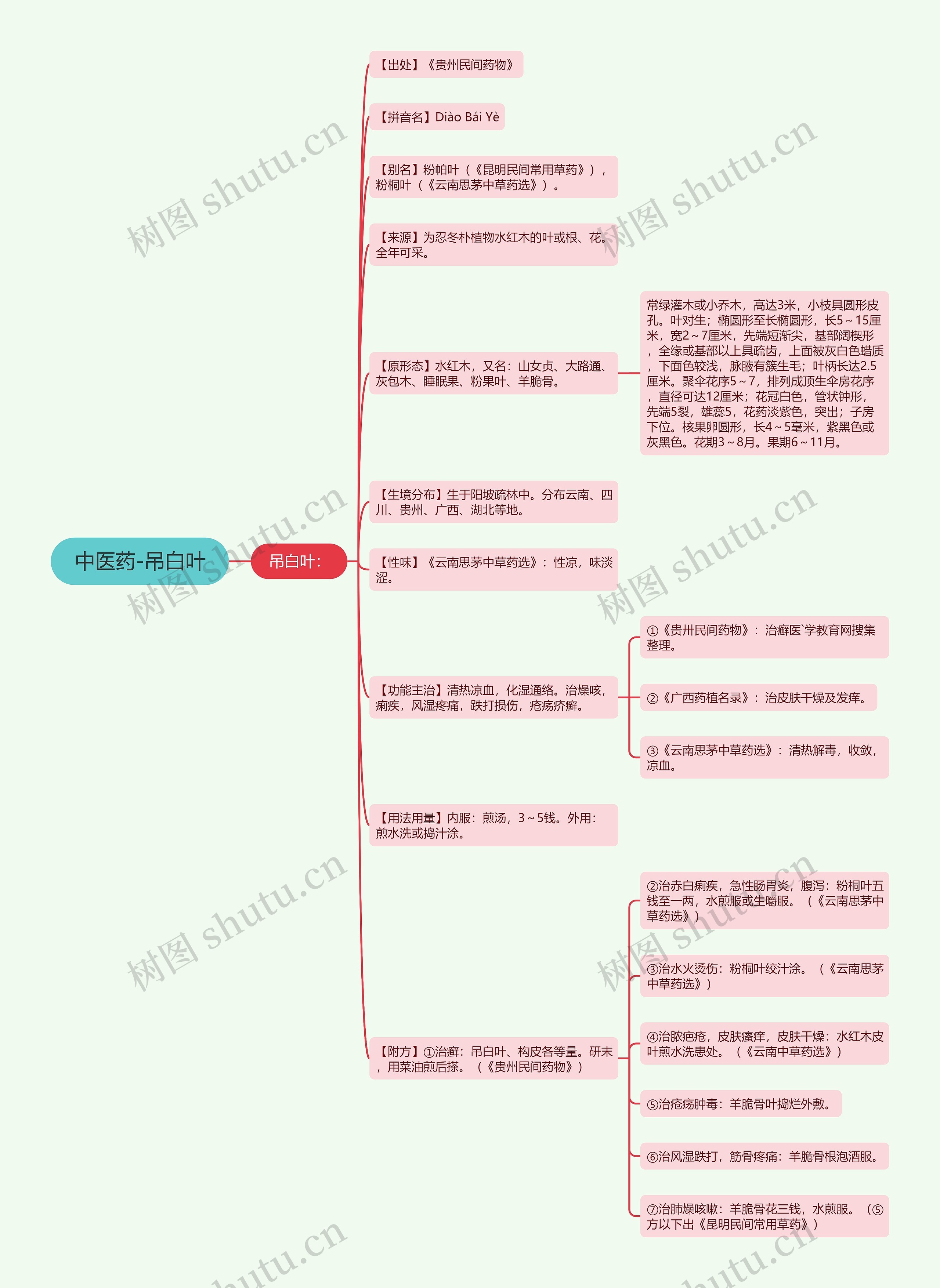 中医药-吊白叶思维导图