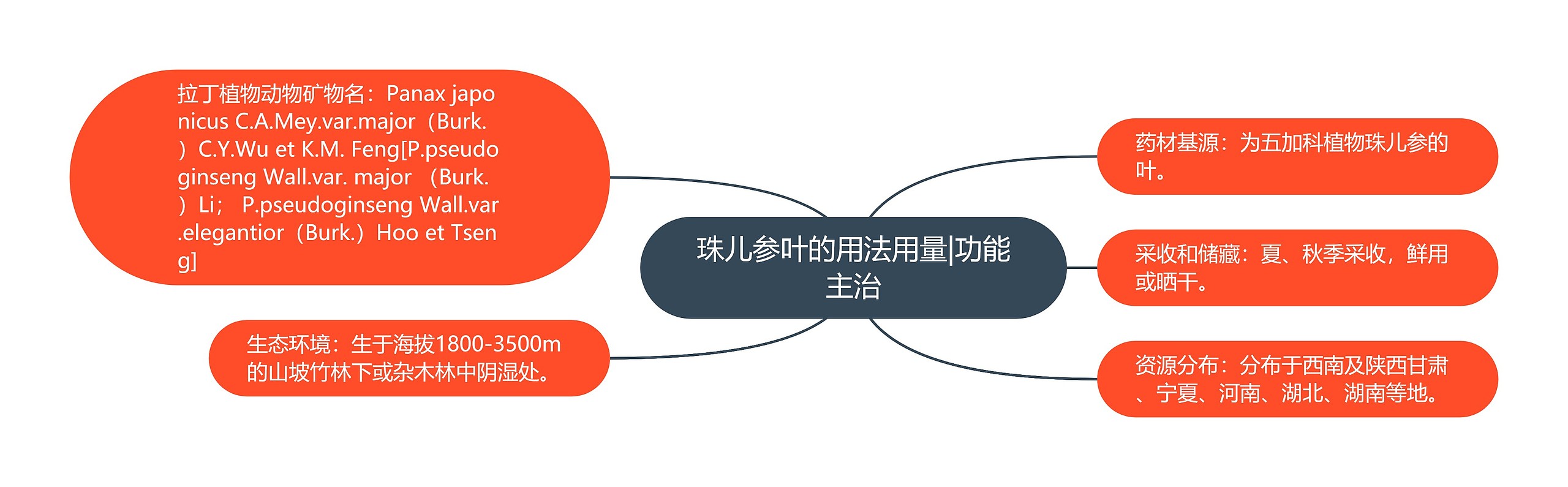 珠儿参叶的用法用量|功能主治思维导图