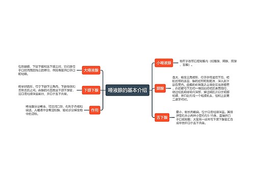 唾液腺的基本介绍