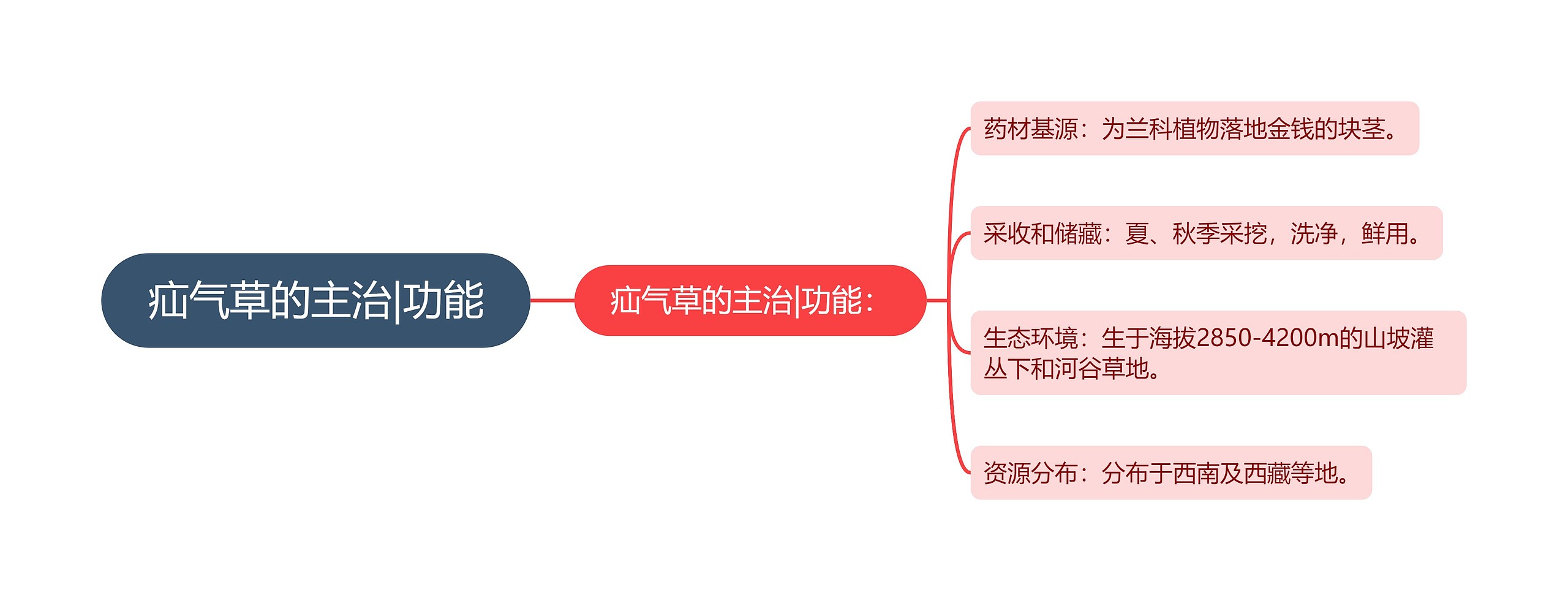 疝气草的主治|功能