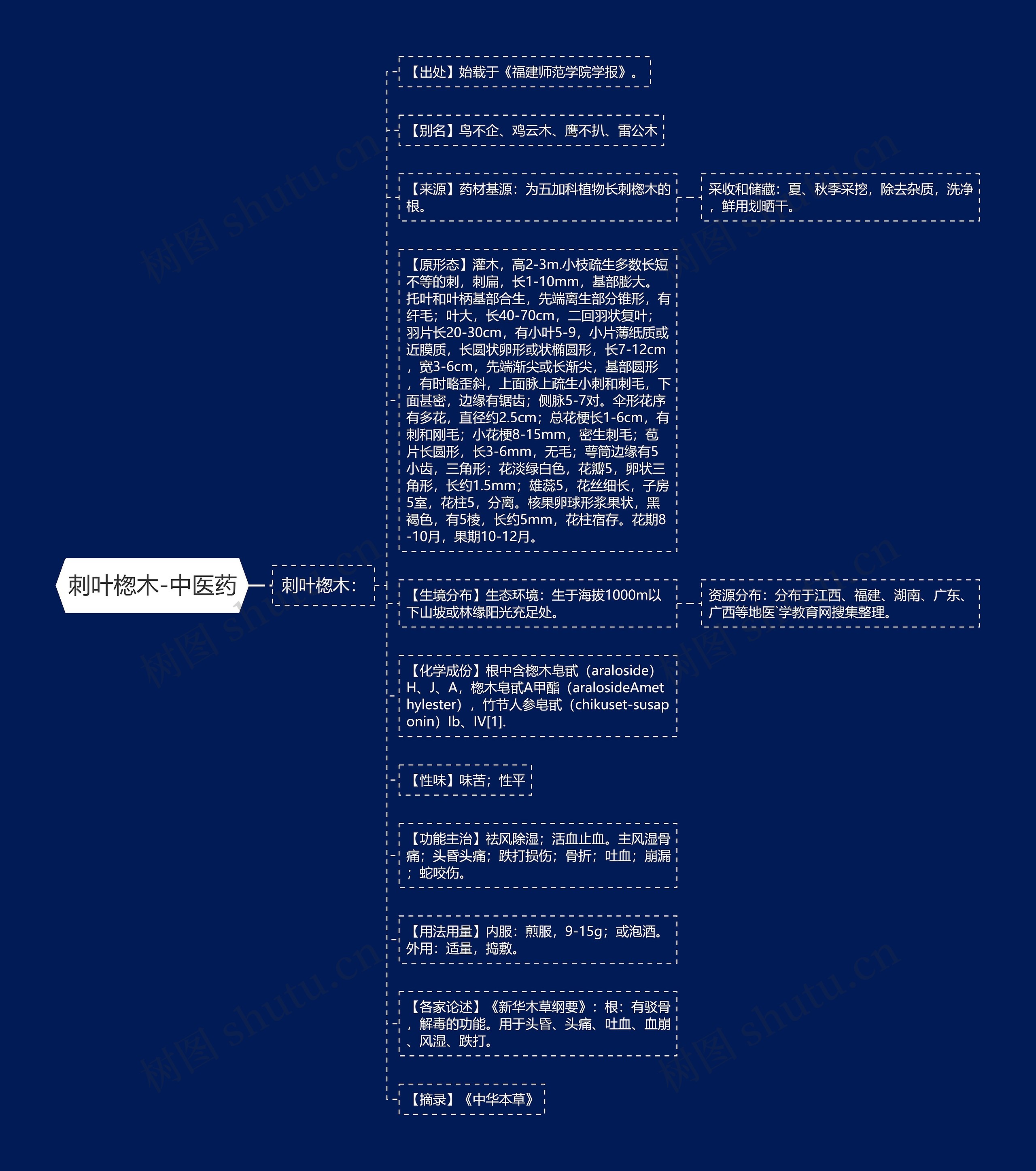 刺叶楤木-中医药思维导图