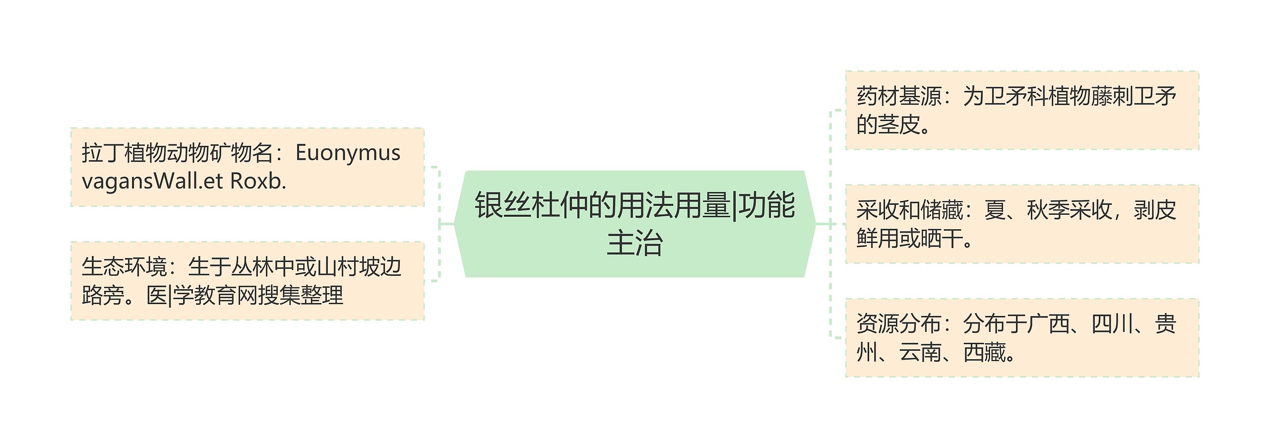 银丝杜仲的用法用量|功能主治