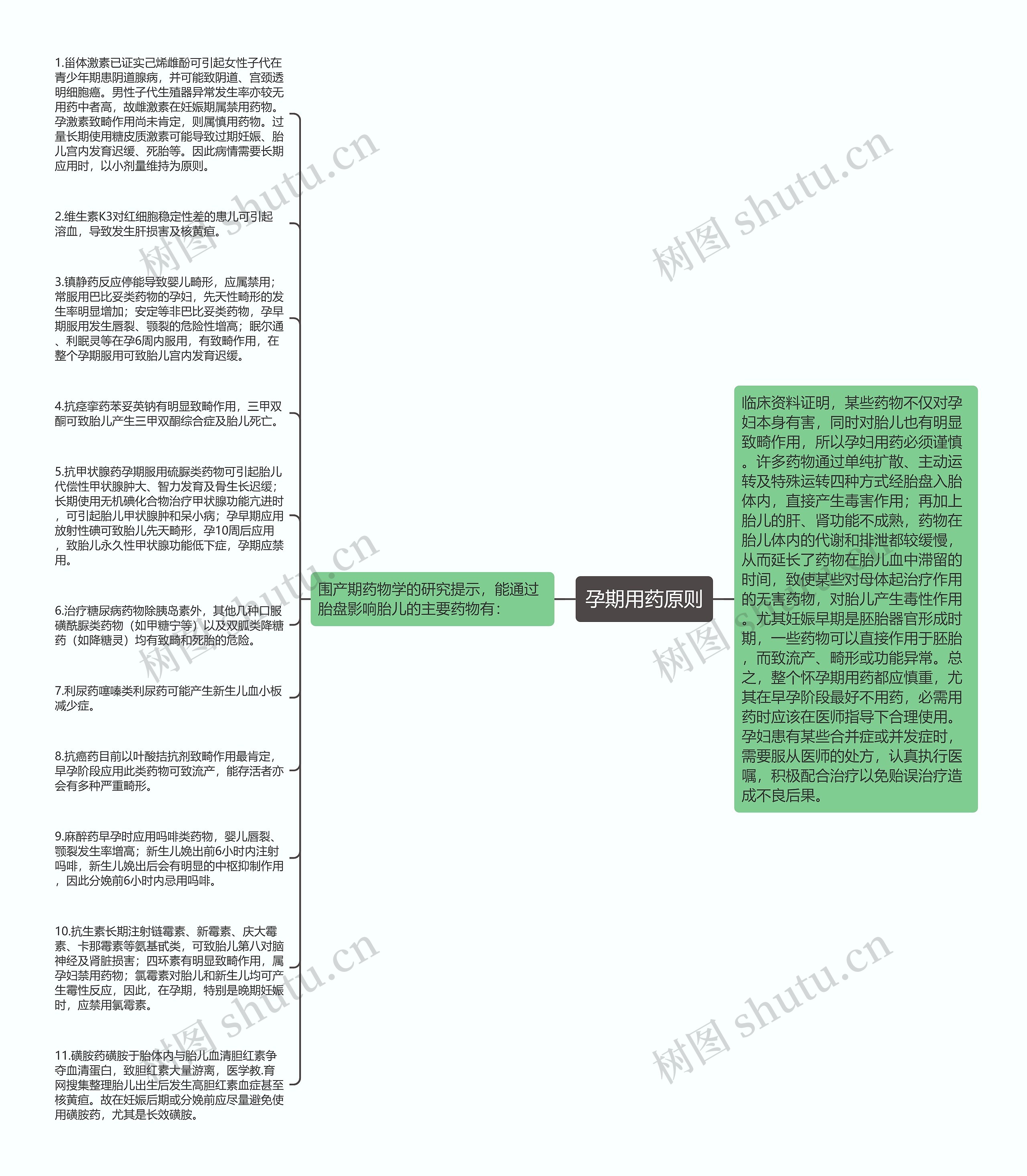 孕期用药原则思维导图