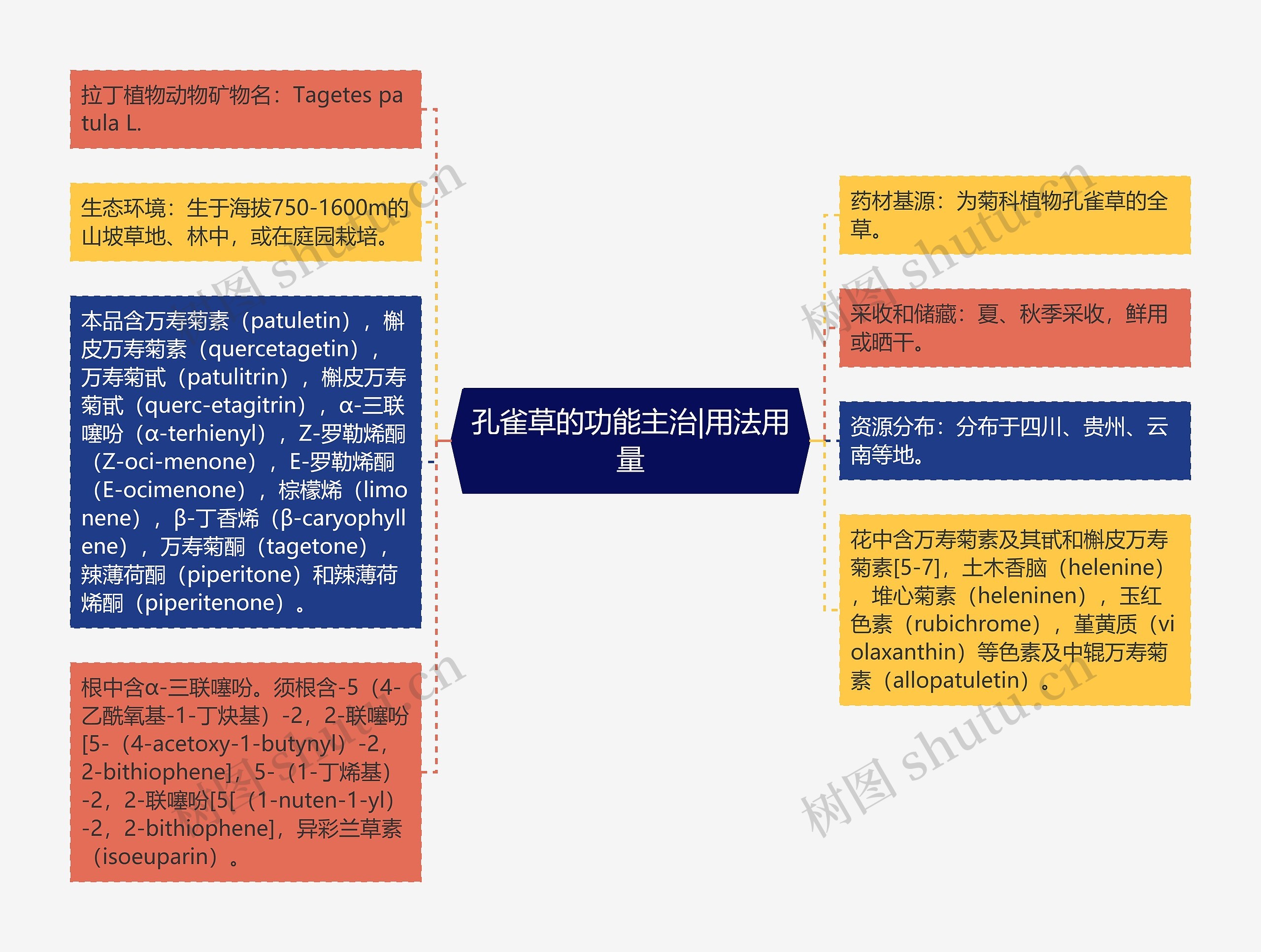 孔雀草的功能主治