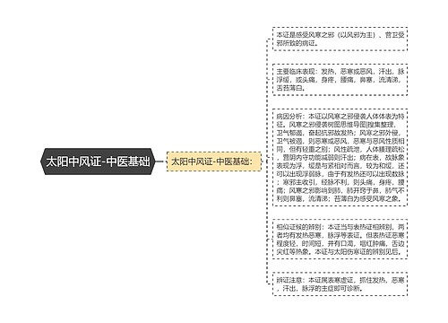 太阳中风证-中医基础