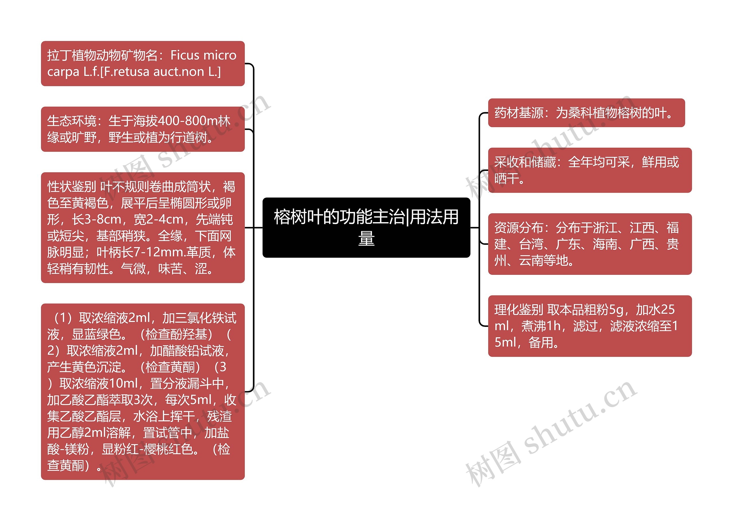 榕树叶的功能主治|用法用量