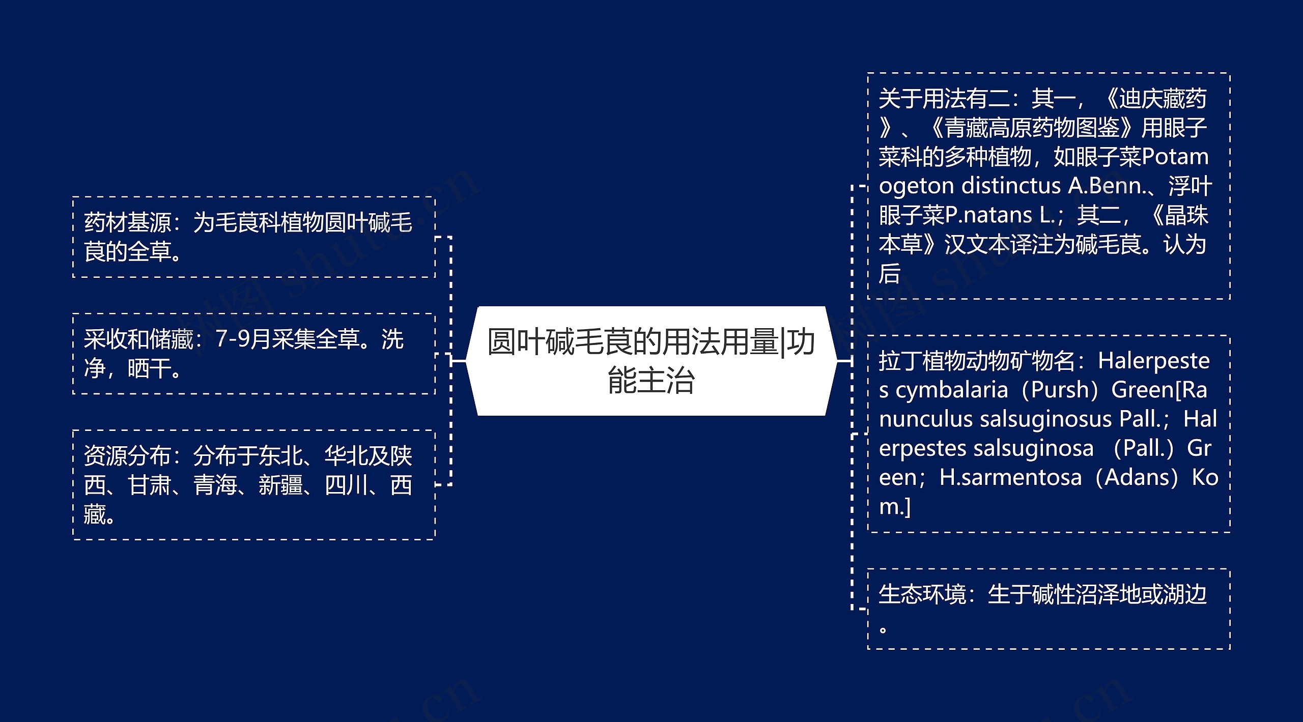 圆叶碱毛茛的用法用量|功能主治