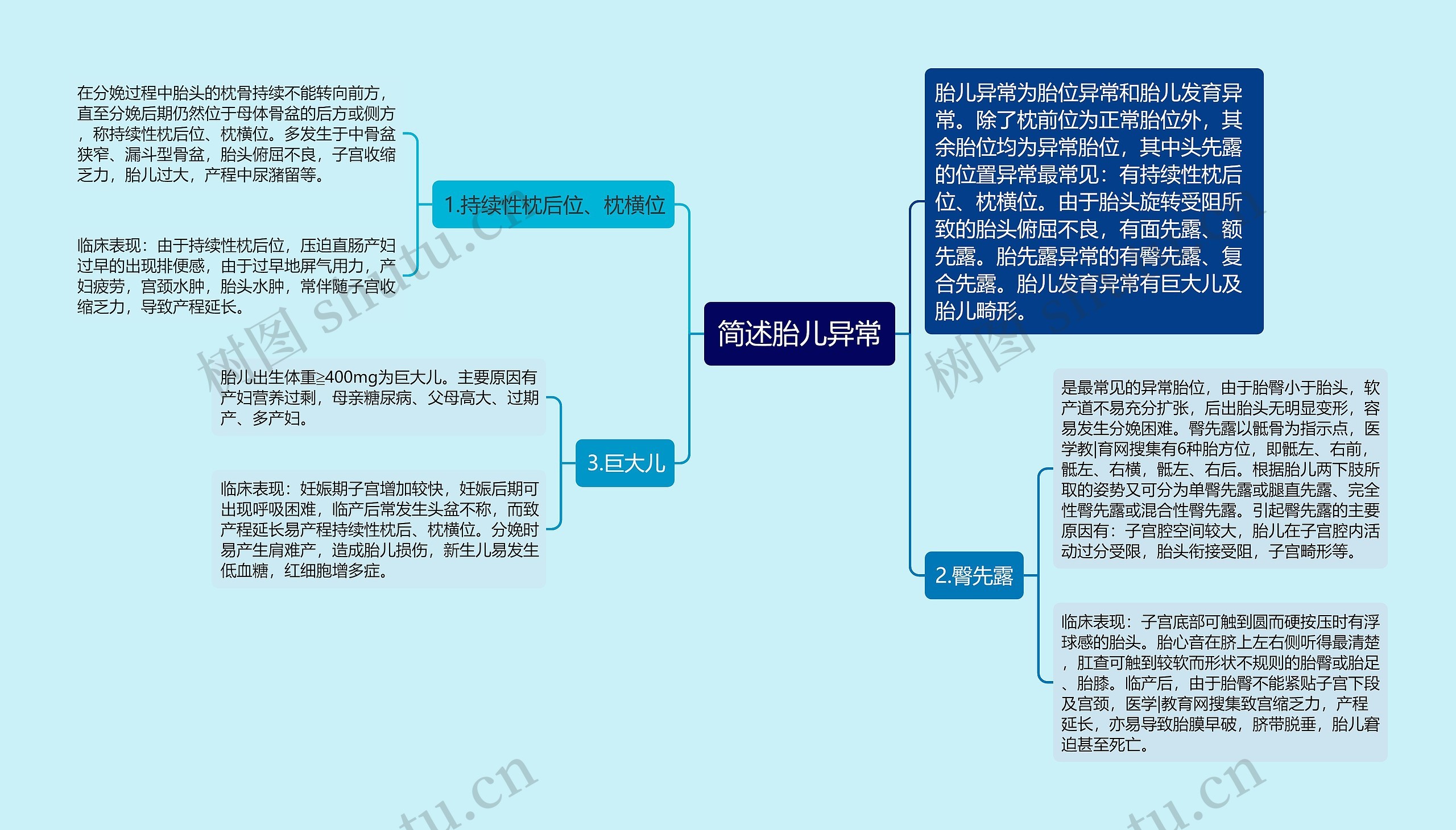 简述胎儿异常思维导图