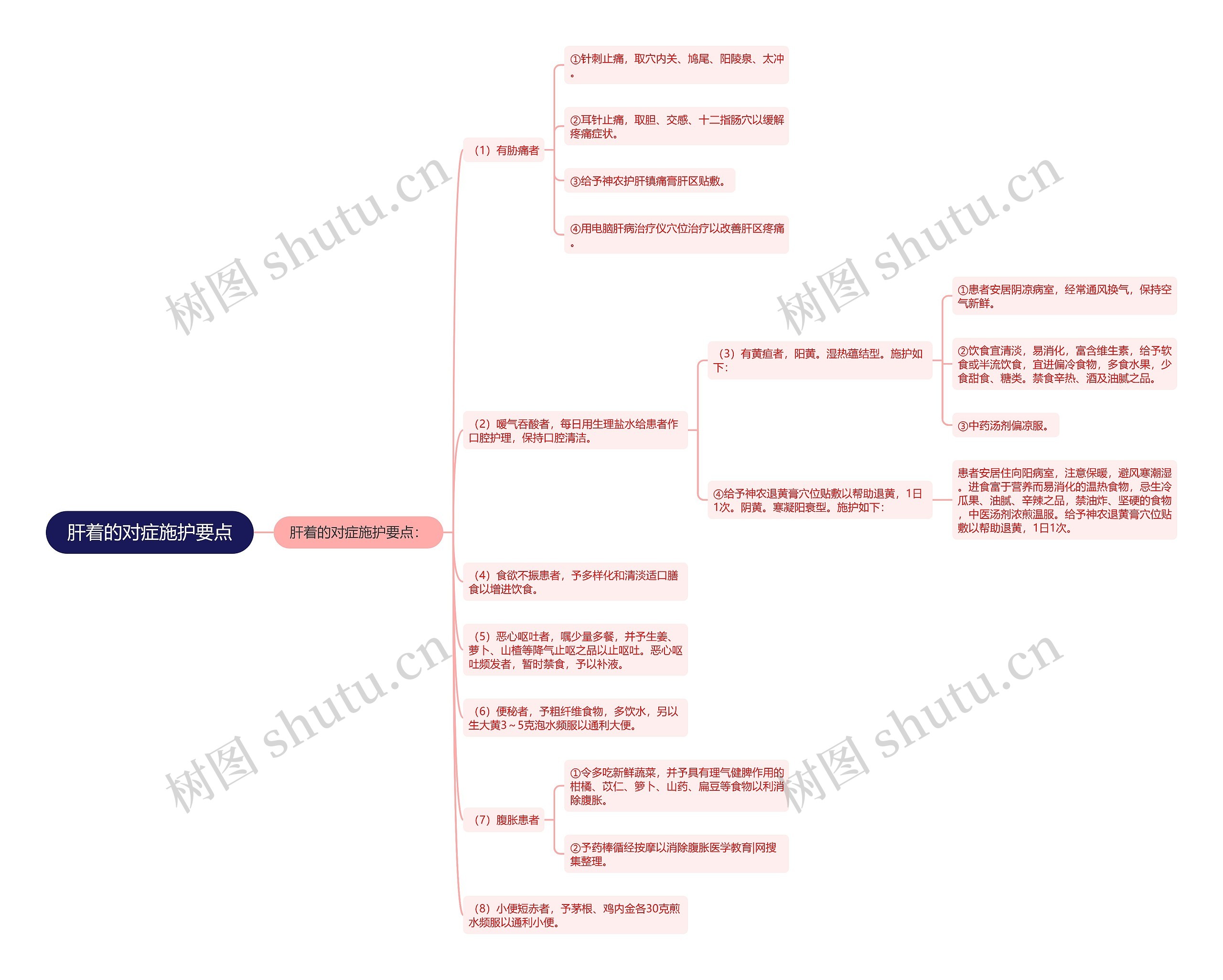 肝着的对症施护要点思维导图