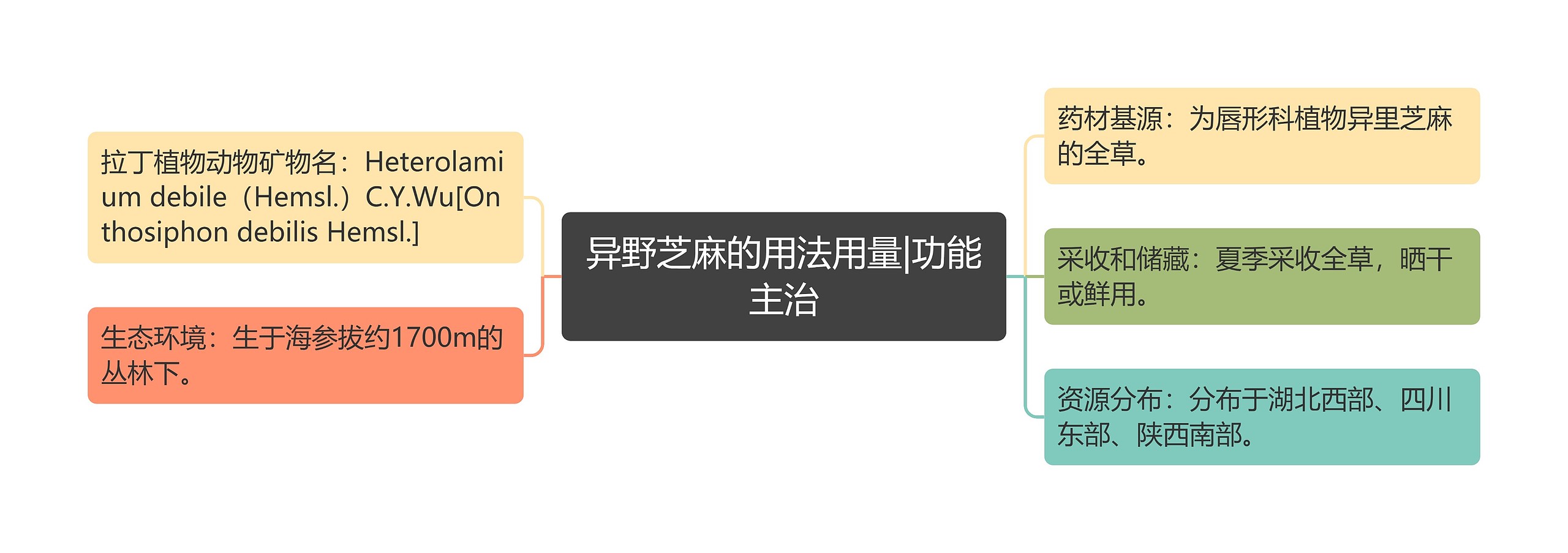 异野芝麻的用法用量|功能主治 异野芝麻的用法用量|功能主治