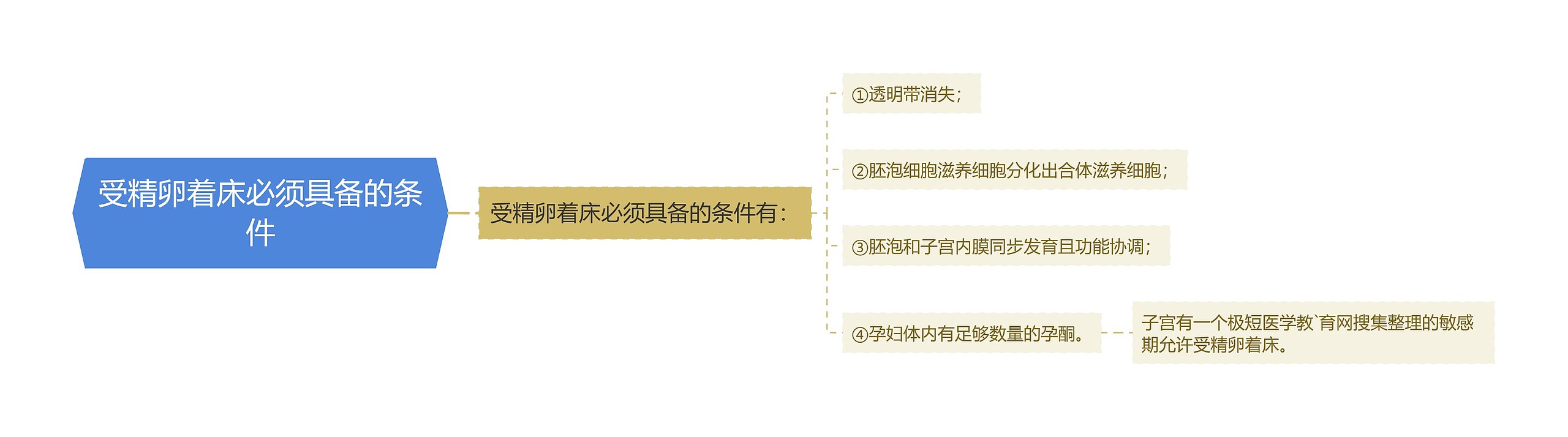 受精卵着床必须具备的条件