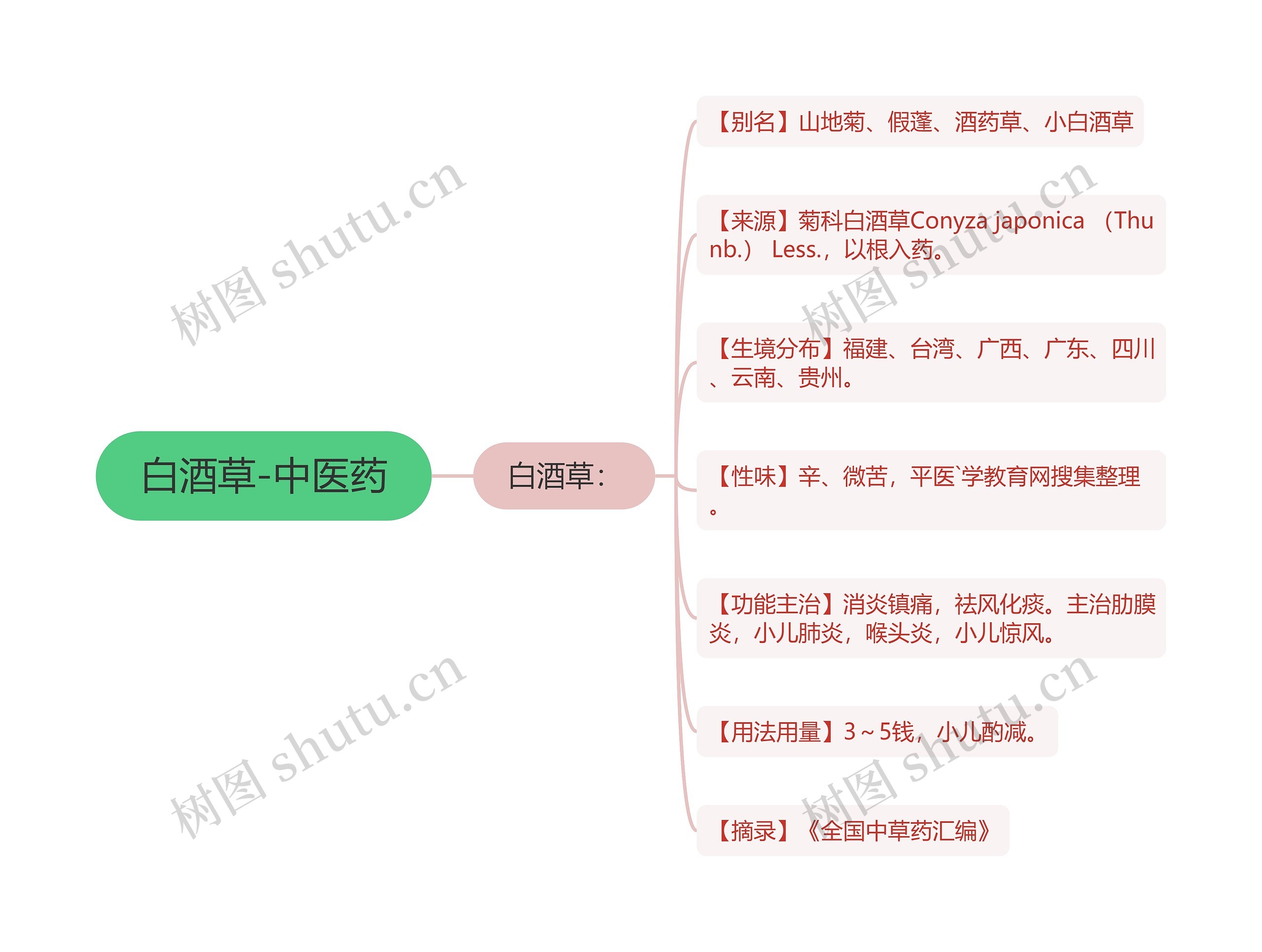 白酒草-中医药思维导图