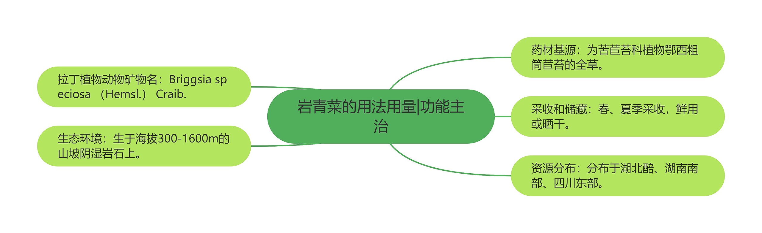 岩青菜的用法用量|功能主治思维导图