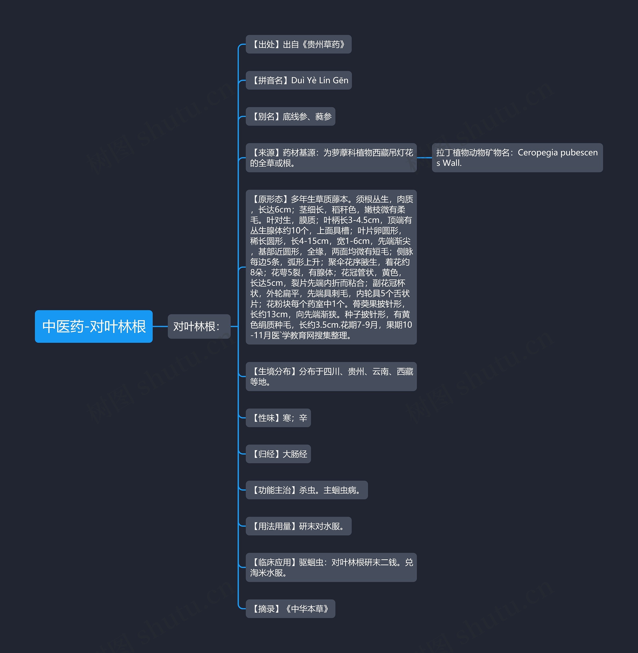 中医药-对叶林根思维导图