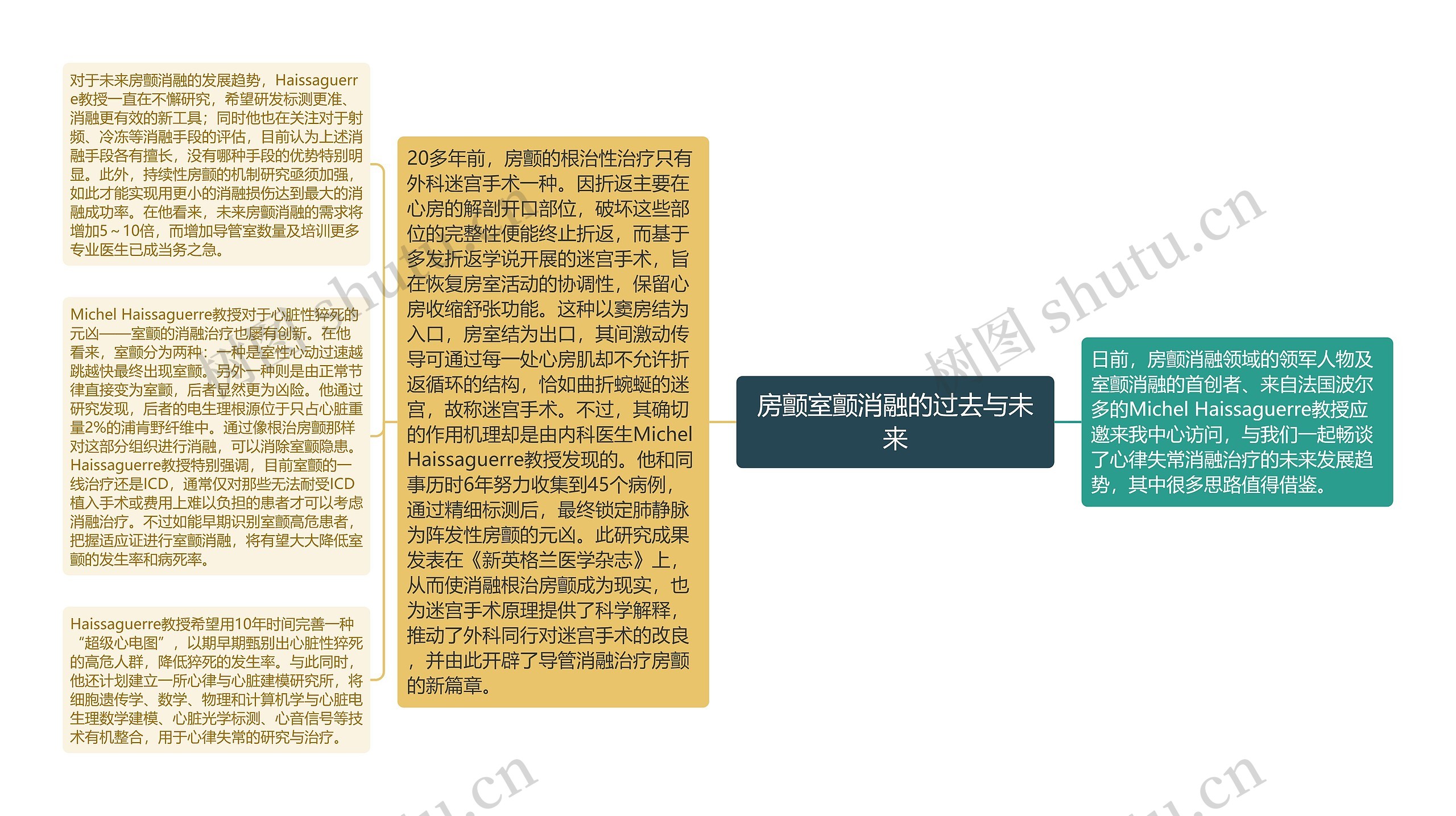 房颤室颤消融的过去与未来 房颤室颤消融的过去与未来