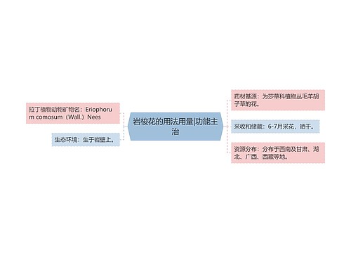 岩梭花的用法用量|功能主治