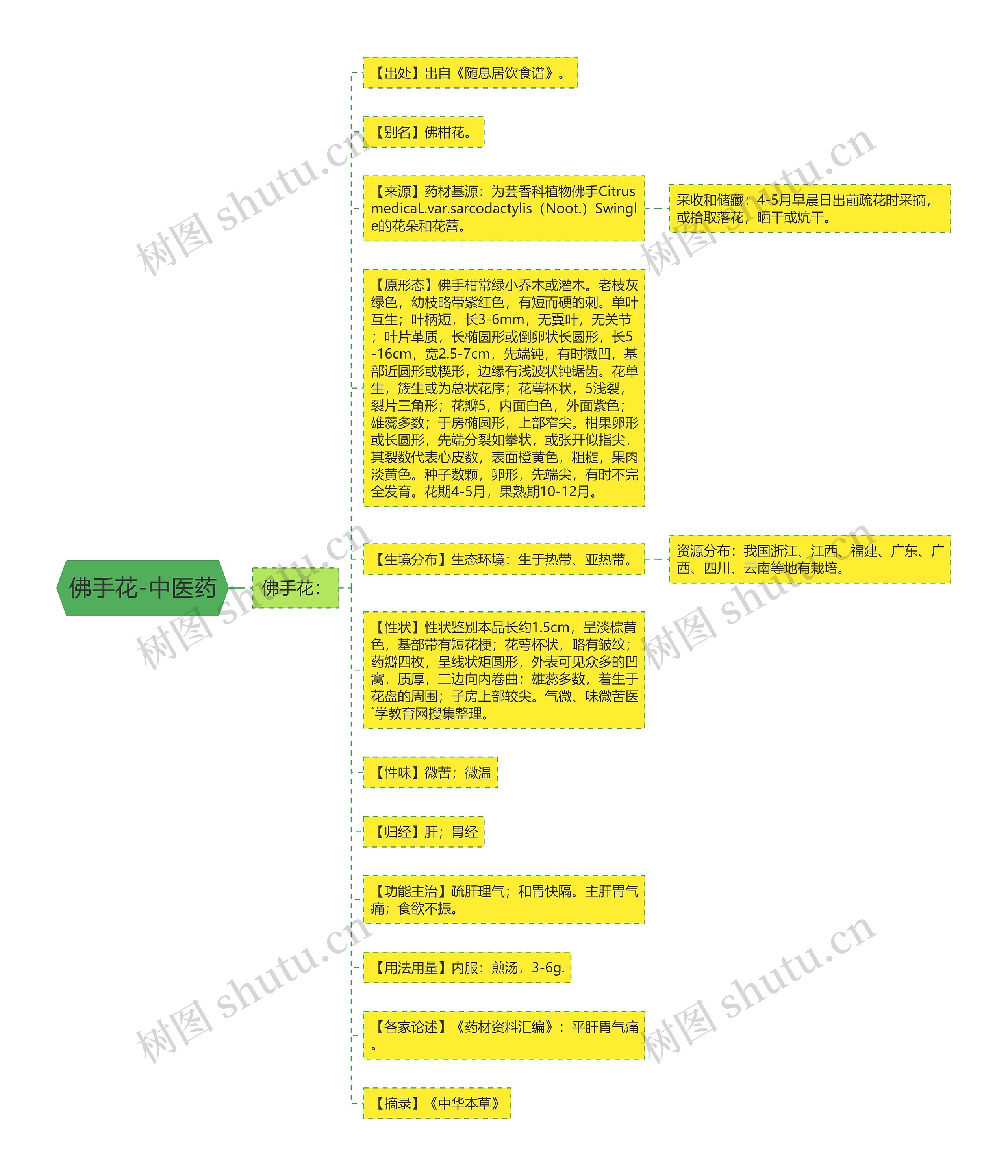 佛手花-中医药思维导图