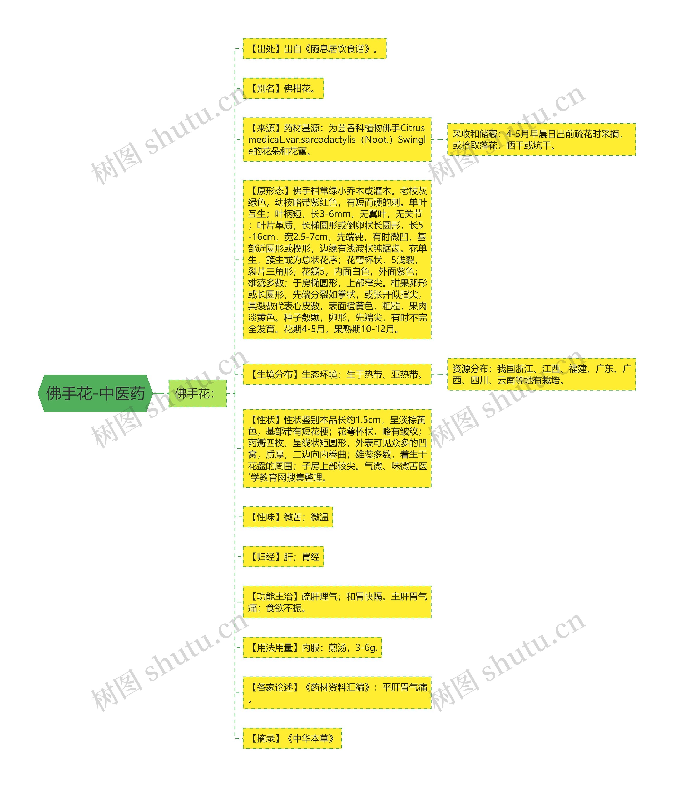 佛手花-中医药 佛手花-中医药