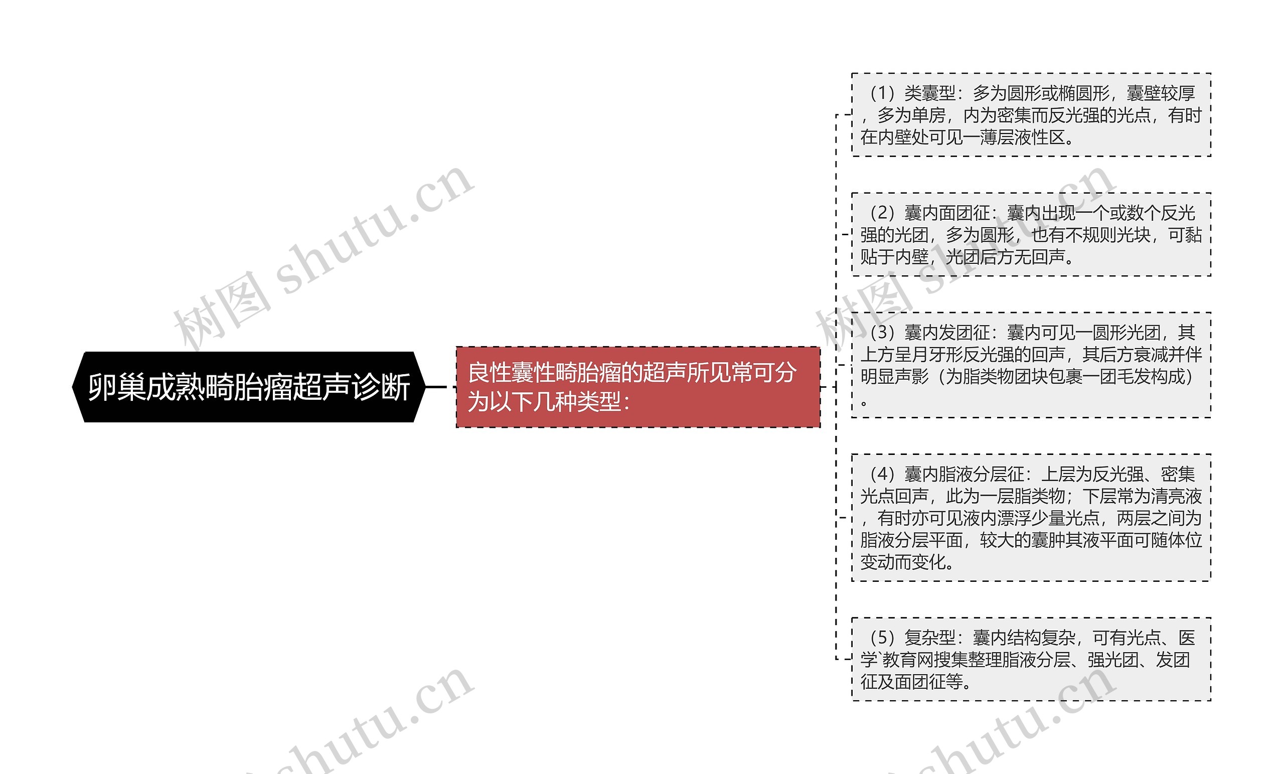 卵巢成熟畸胎瘤超声诊断思维导图