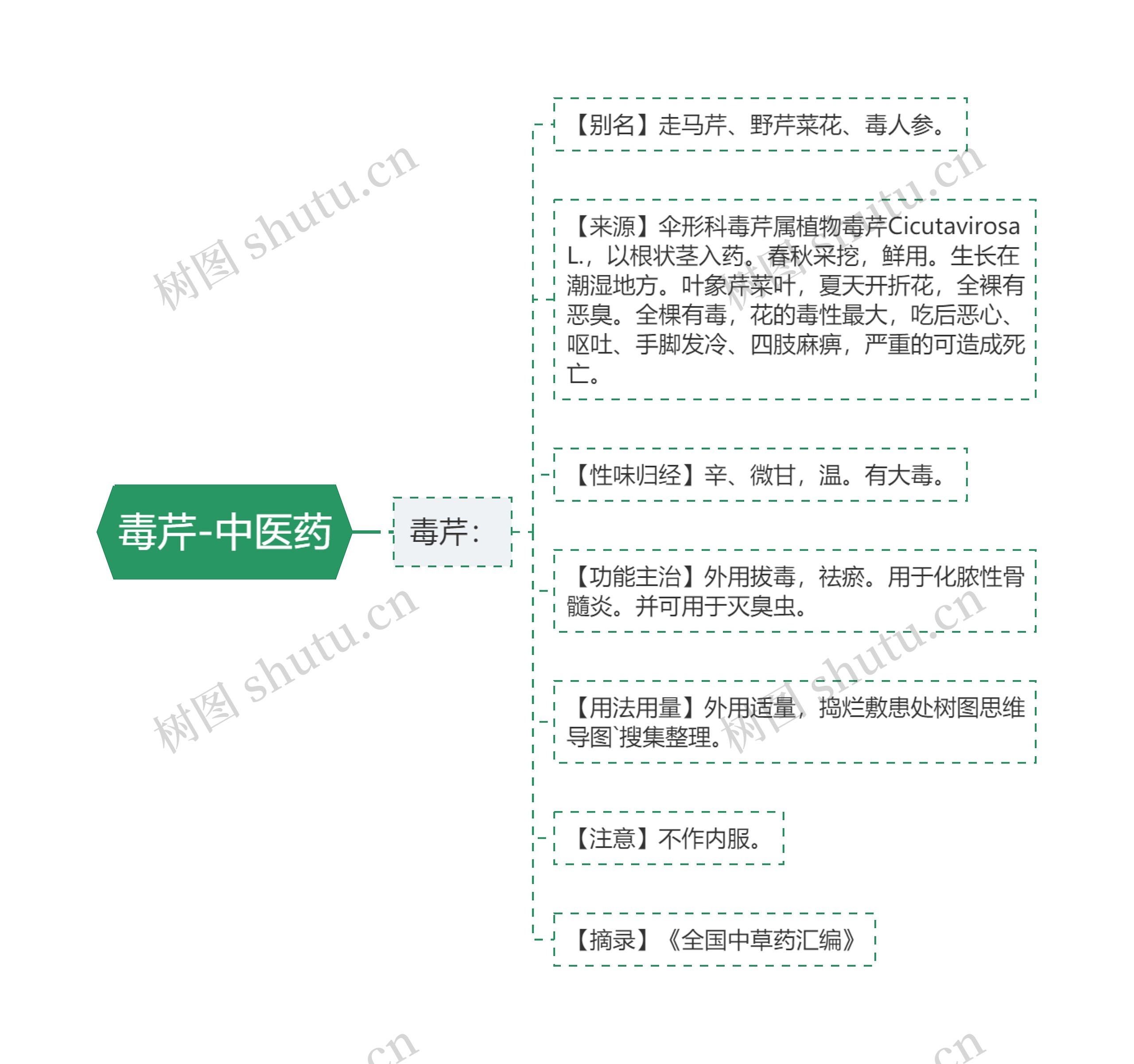 毒芹-中医药 毒芹-中医药