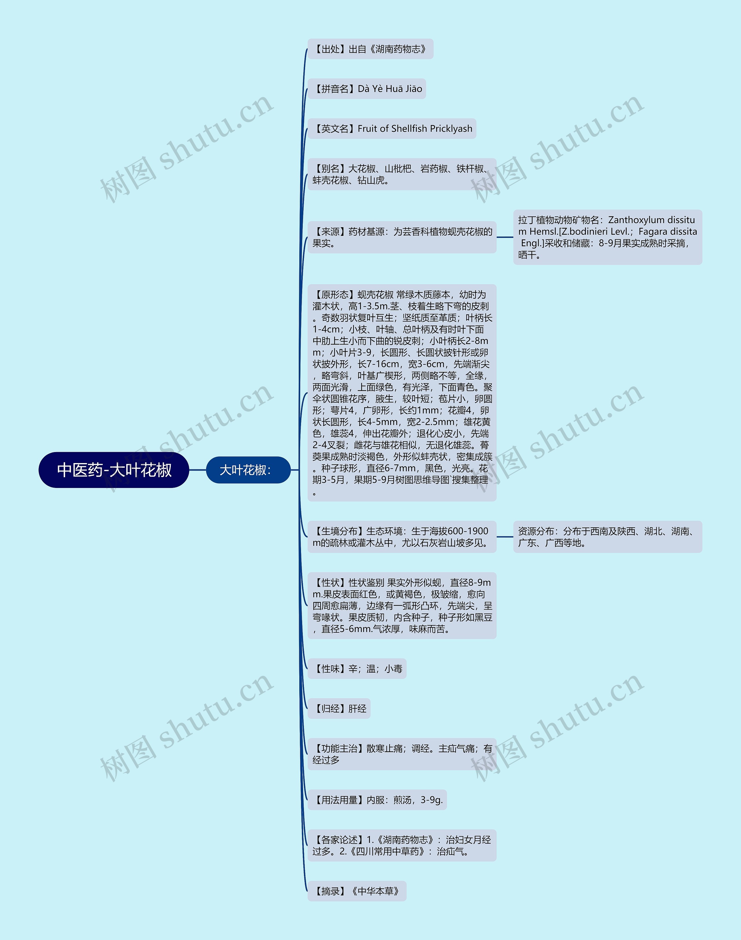 中医药-大叶花椒思维导图