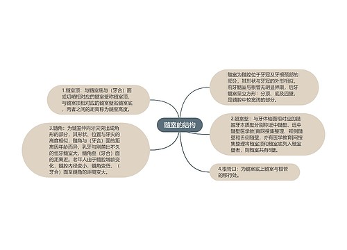 髓室的结构思维导图