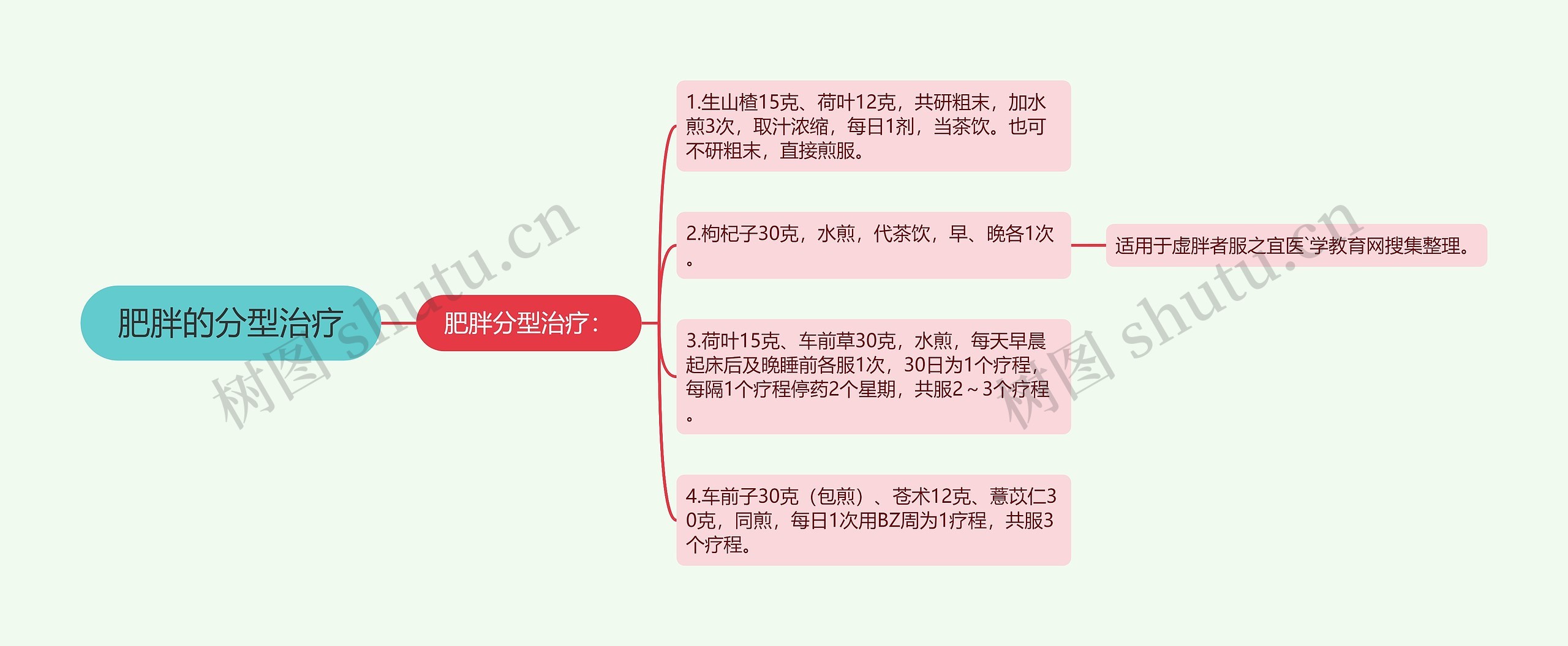 肥胖的分型治疗