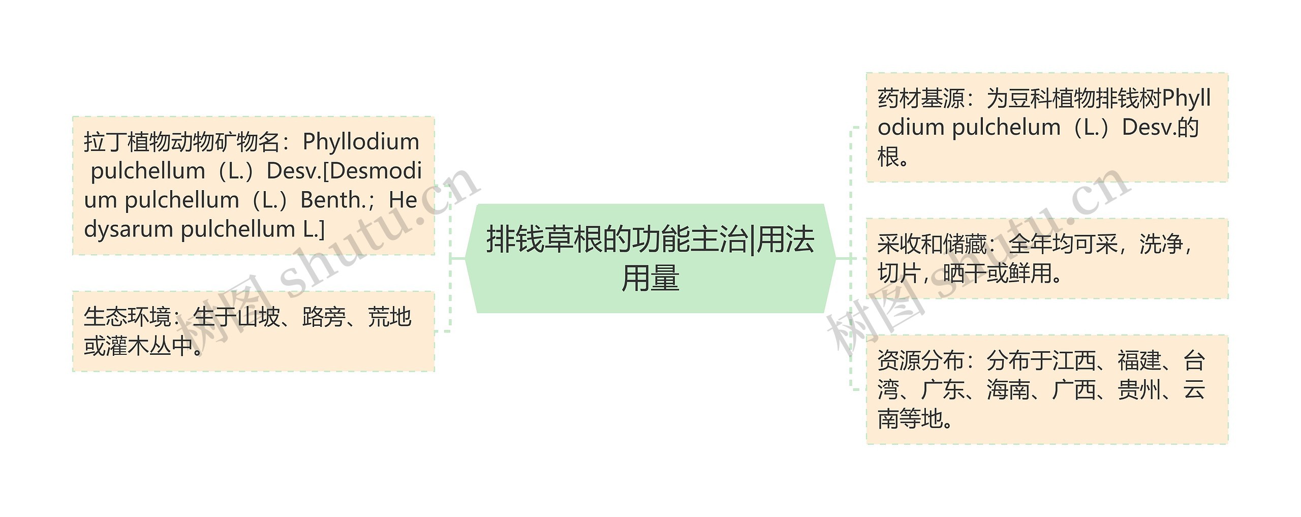 排钱草根的功能主治|用法用量 排钱草根的功能主治|用法用量