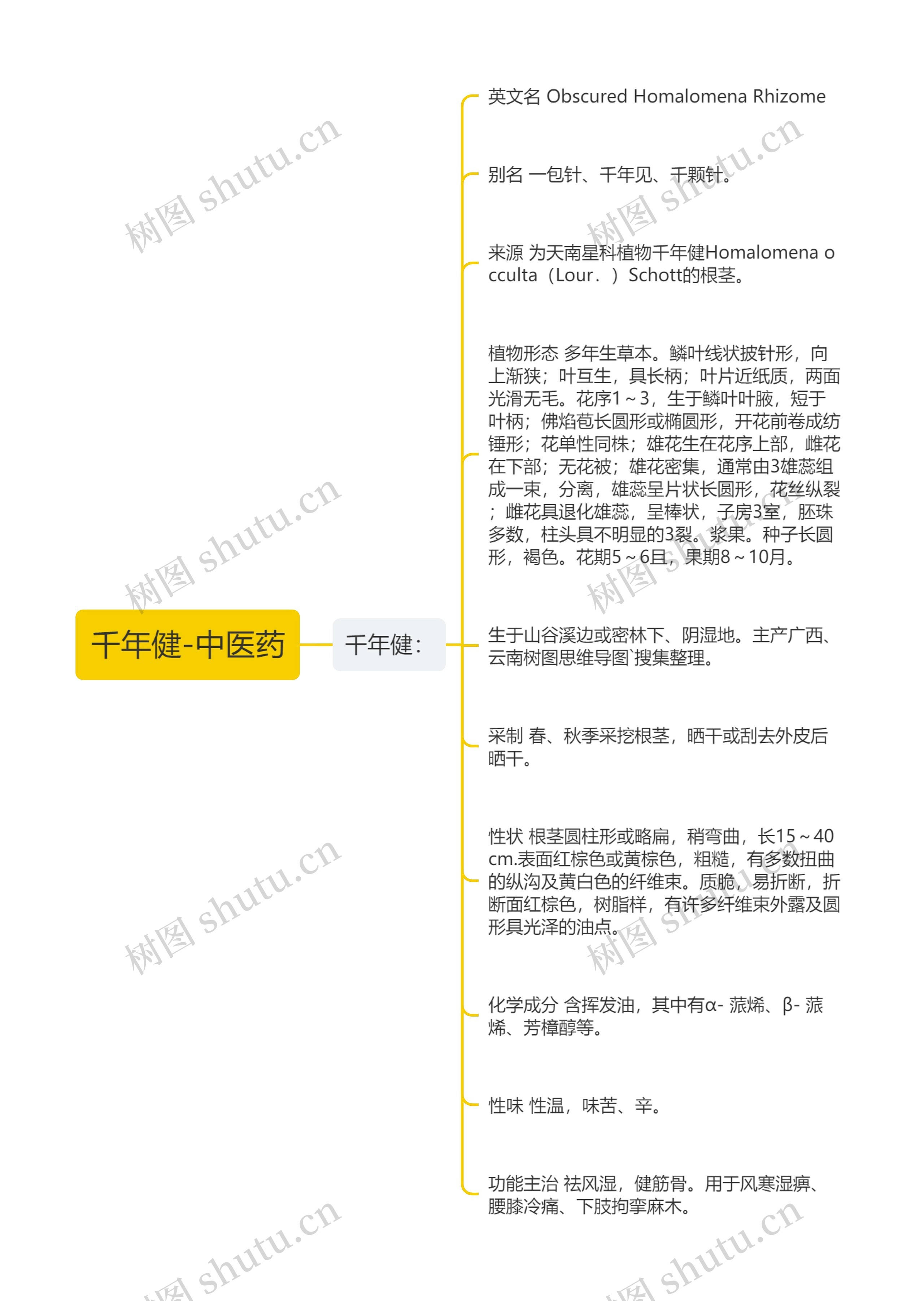千年健-中医药 千年健-中医药