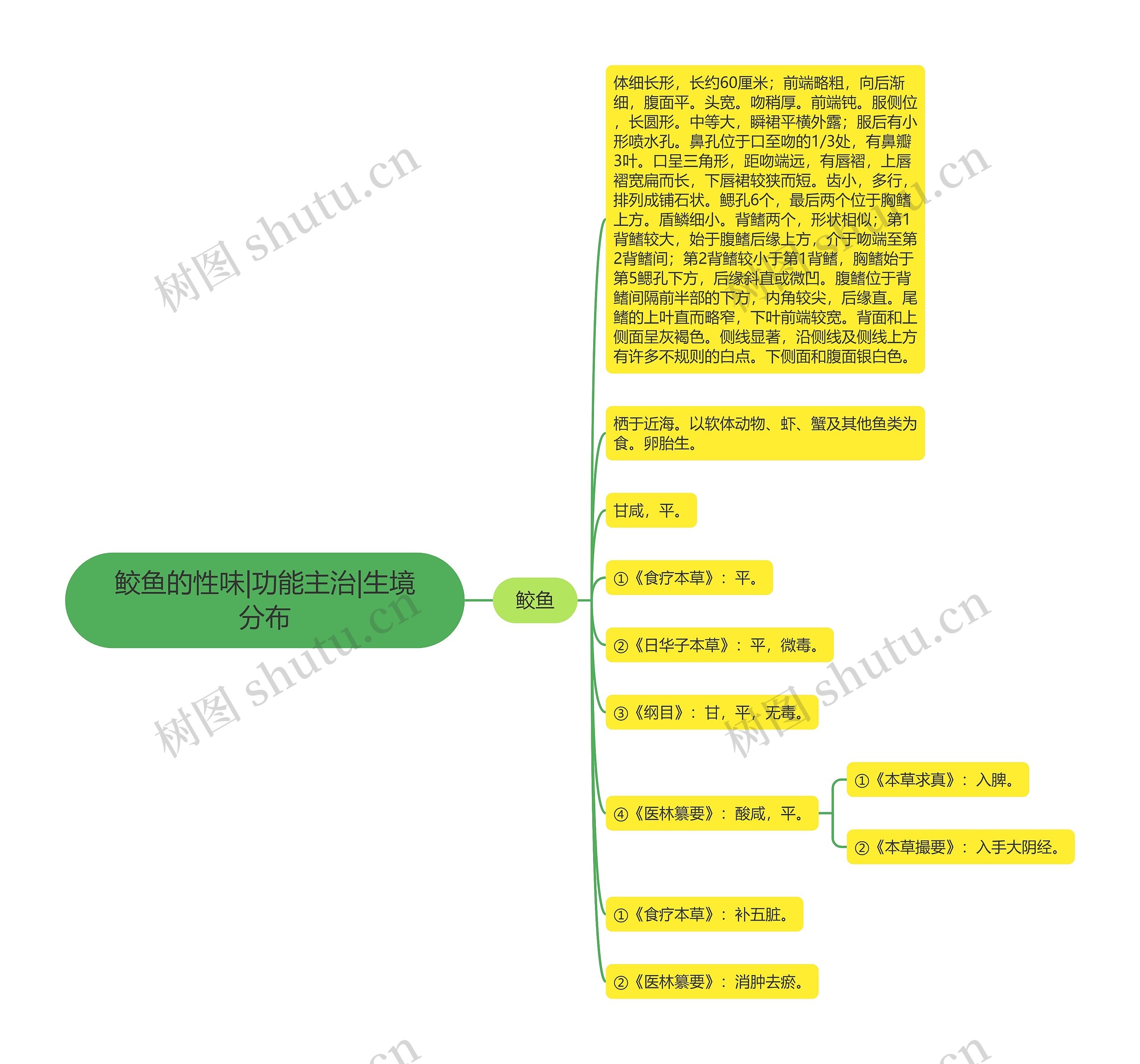 鲛鱼的性味|功能主治|生境分布 鲛鱼的性味|功能主治|生境分布