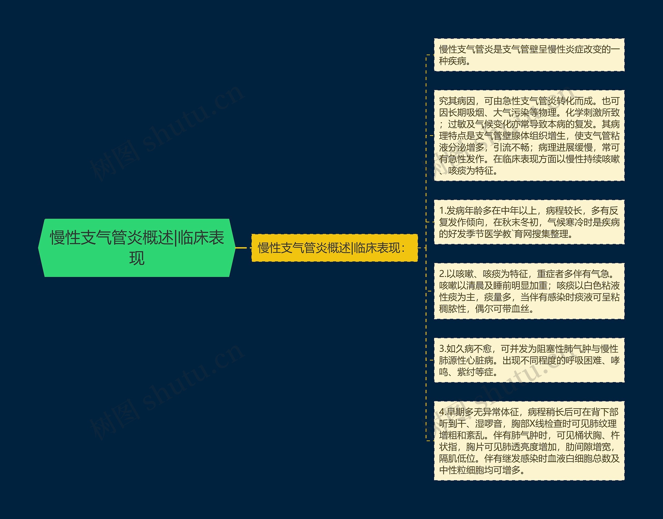 慢性支气管炎概述|临床表现思维导图