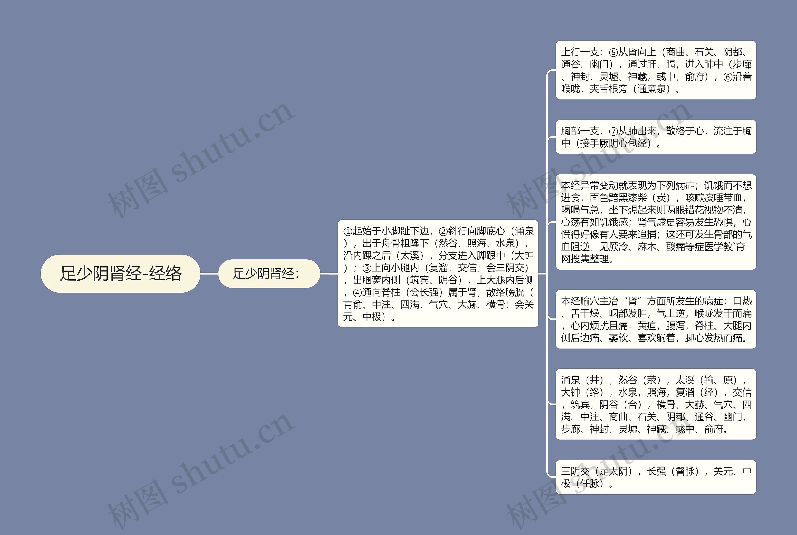 足少阴肾经-经络思维导图