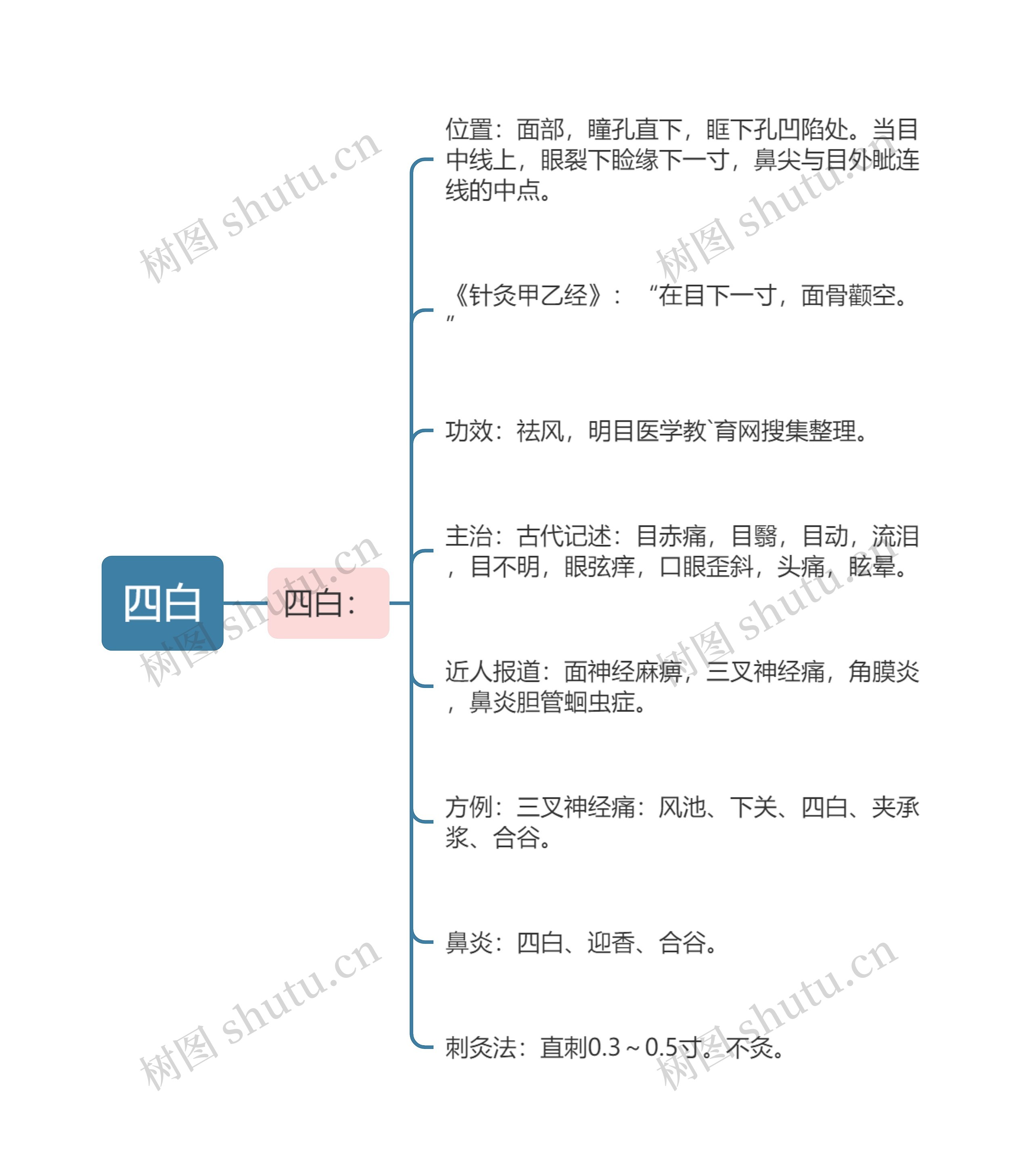 四白思维导图