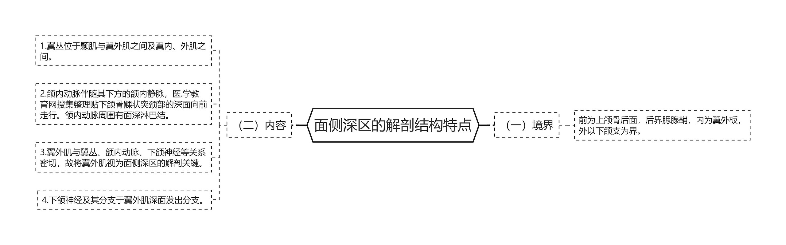 面侧深区的解剖结构特点思维导图