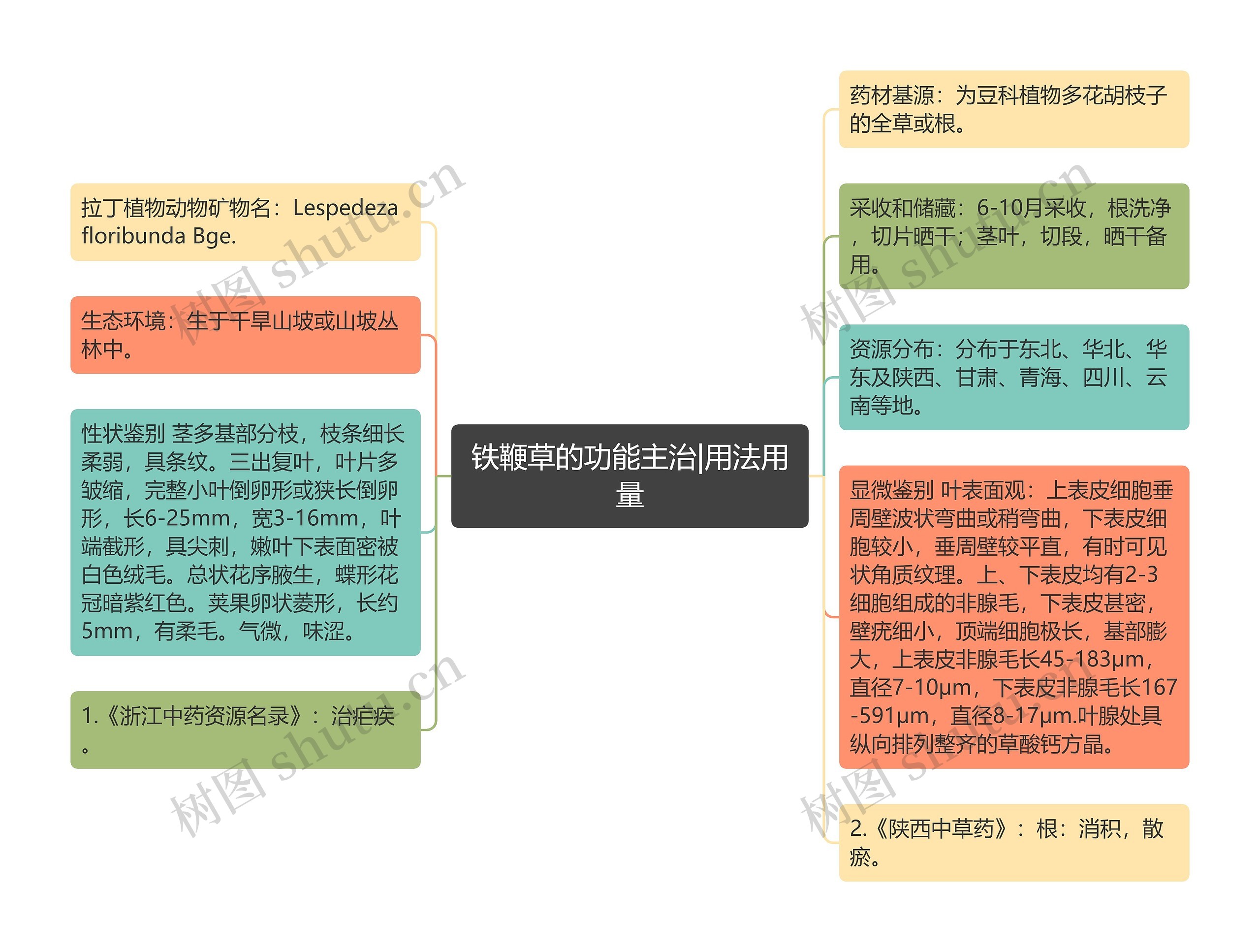 铁鞭草的功能主治|用法用量思维导图