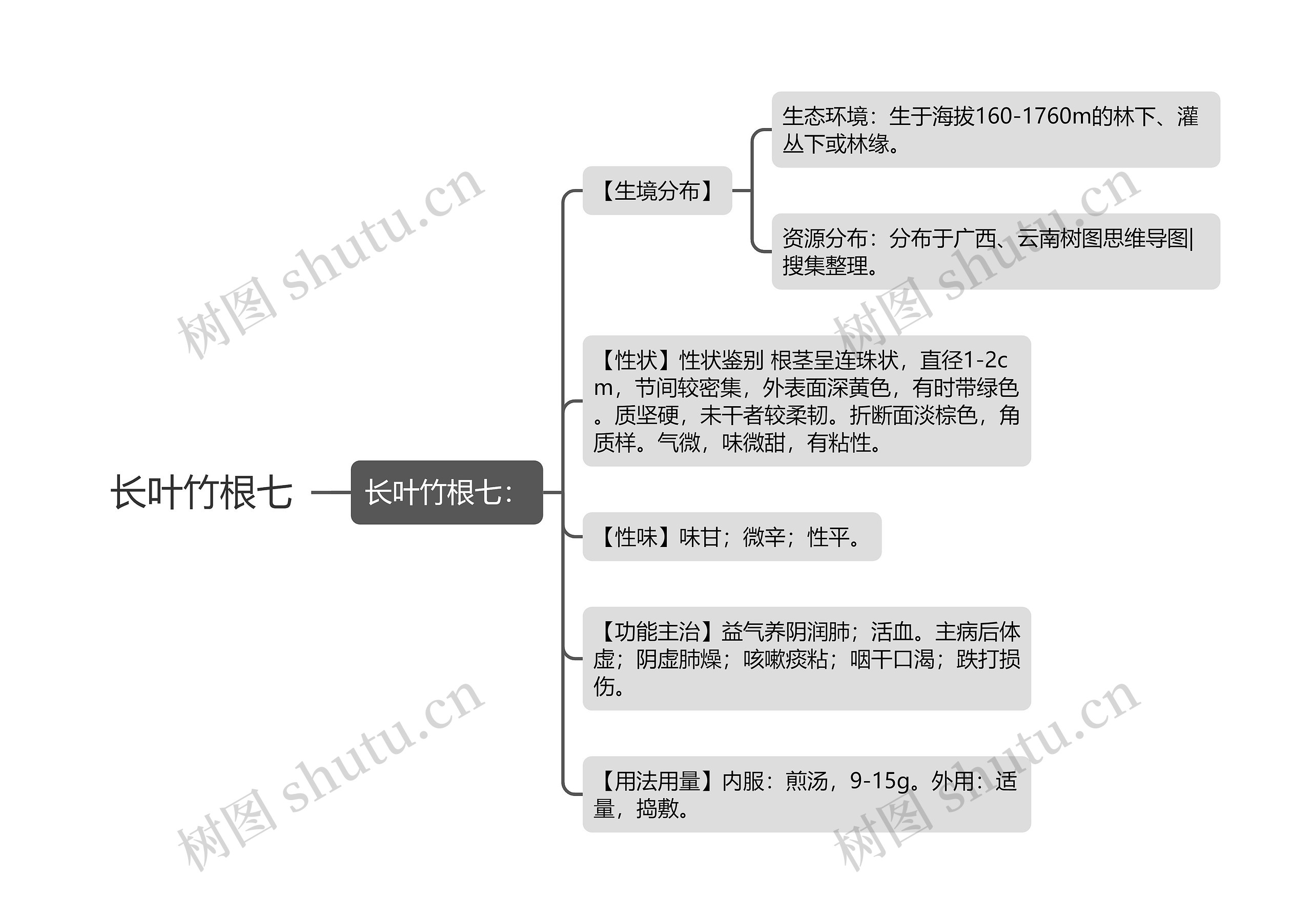 长叶竹根七