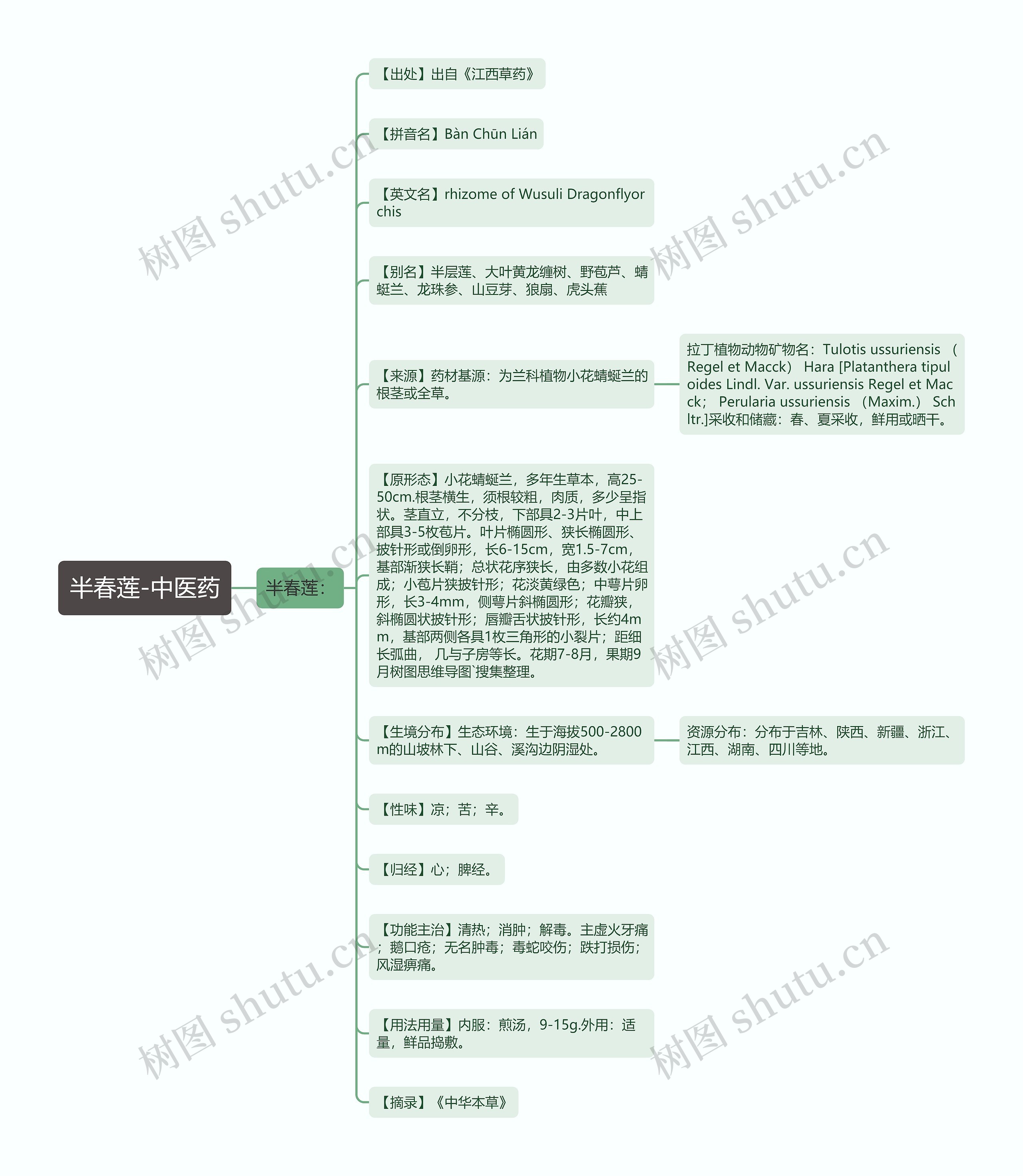 半春莲-中医药思维导图