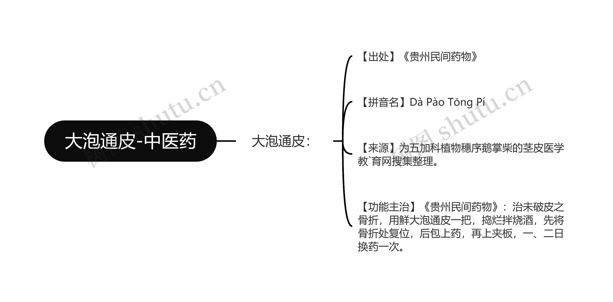 大泡通皮-中医药思维导图