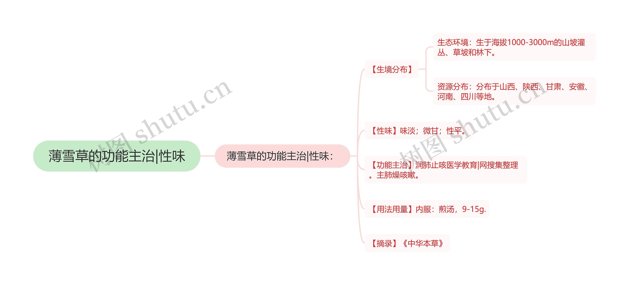 薄雪草的功能主治|性味思维导图