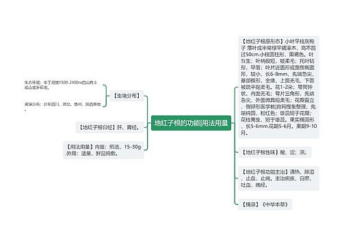 地红子根的功能|用法用量