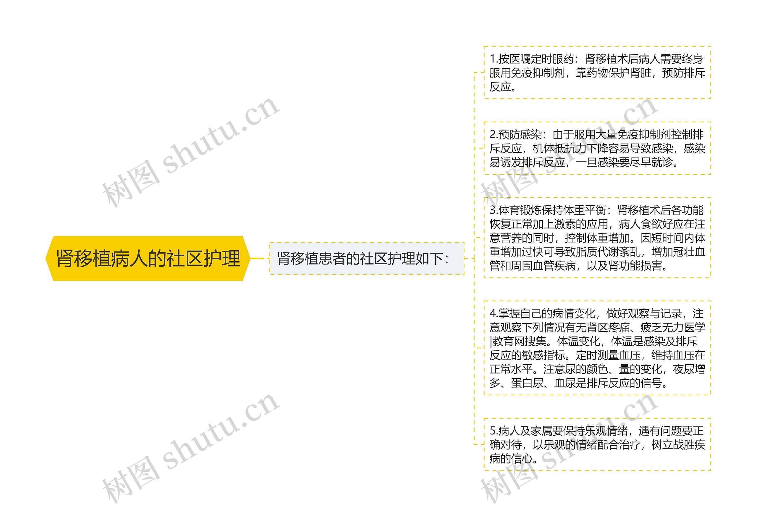 肾移植病人的社区护理思维导图