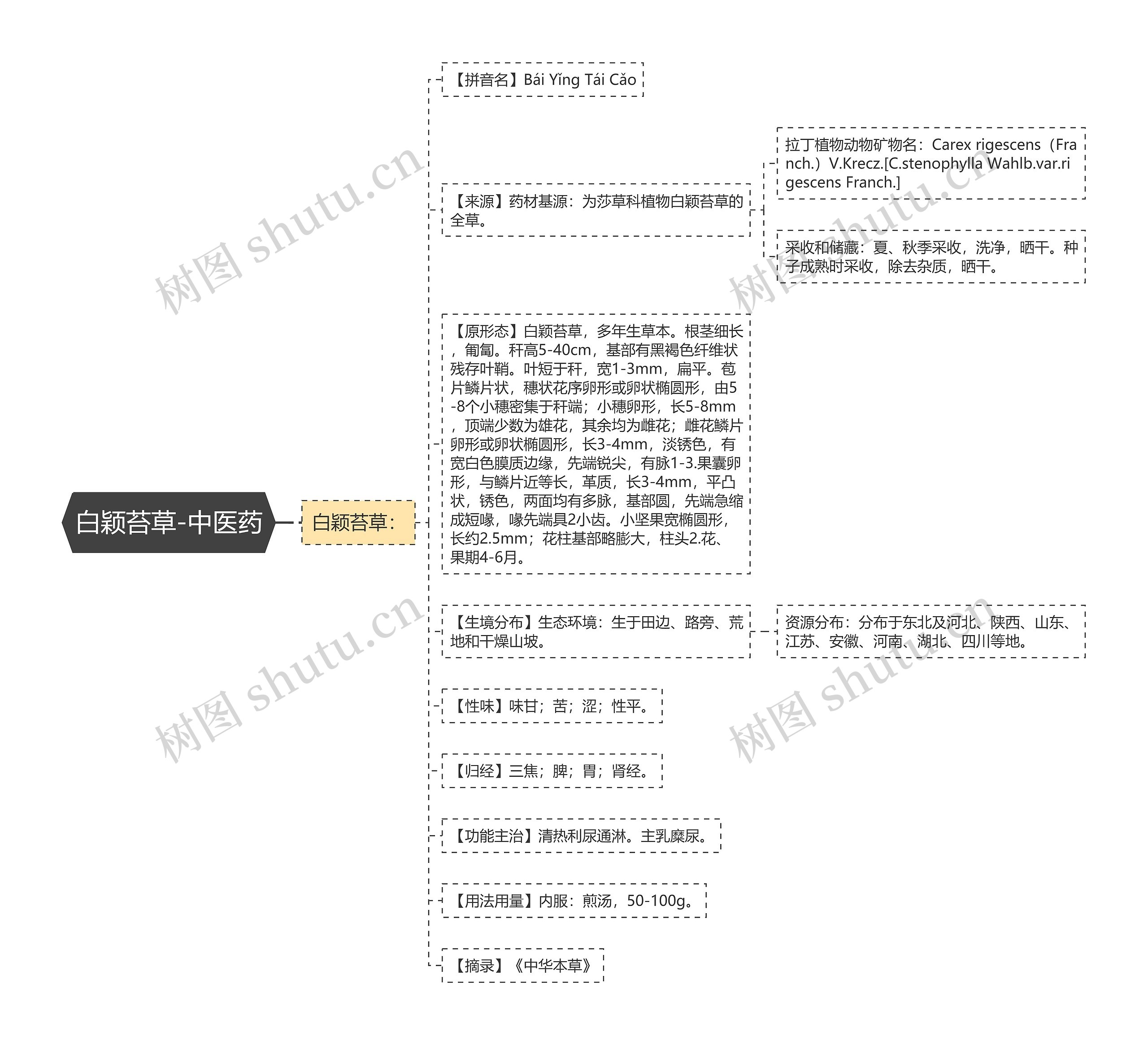 白颖苔草-中医药 白颖苔草-中医药