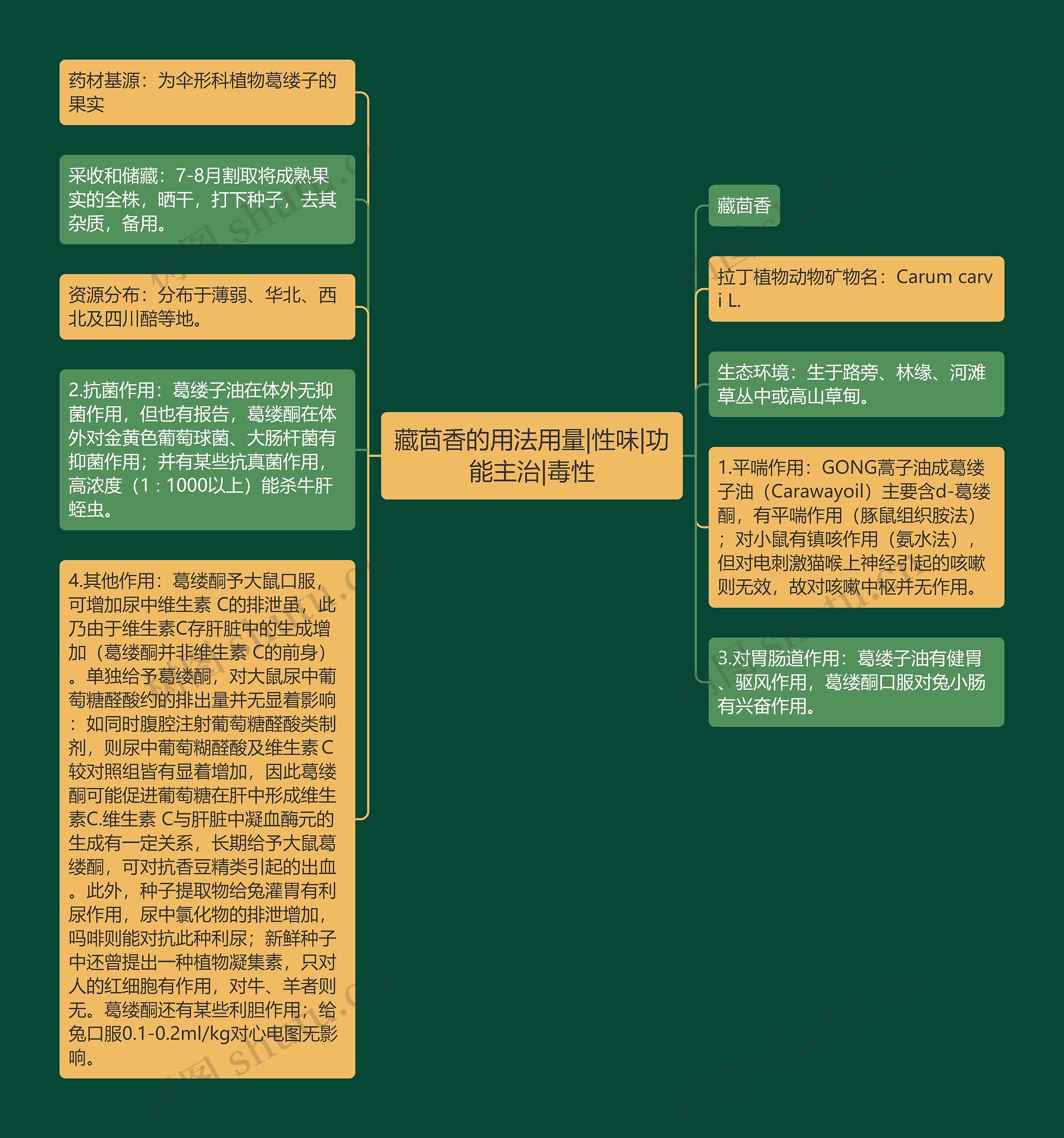 藏茴香的用法用量|性味|功能主治|毒性 藏茴香的用法用量|性味|功能主治|毒性