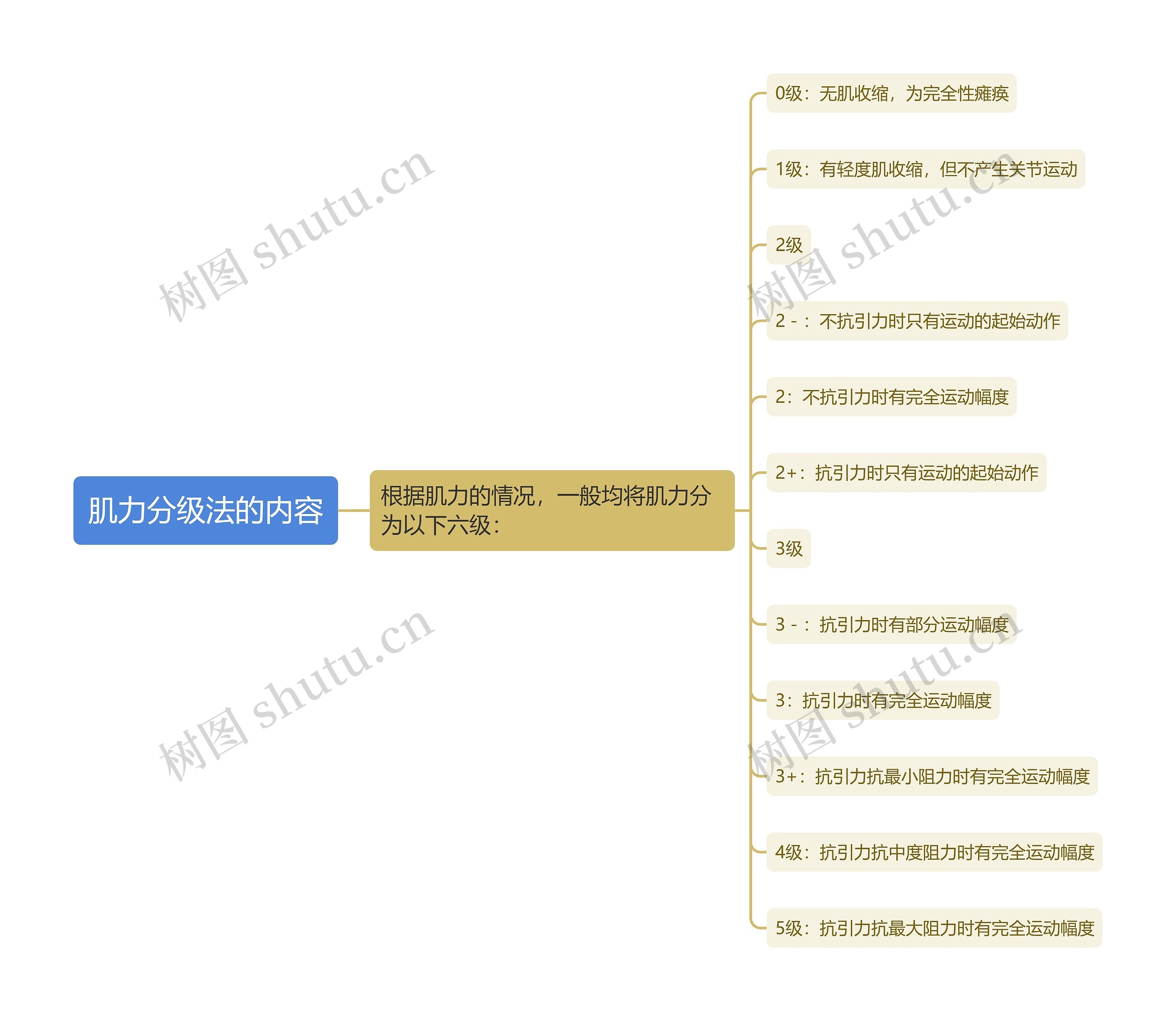 肌力分级法的内容思维导图